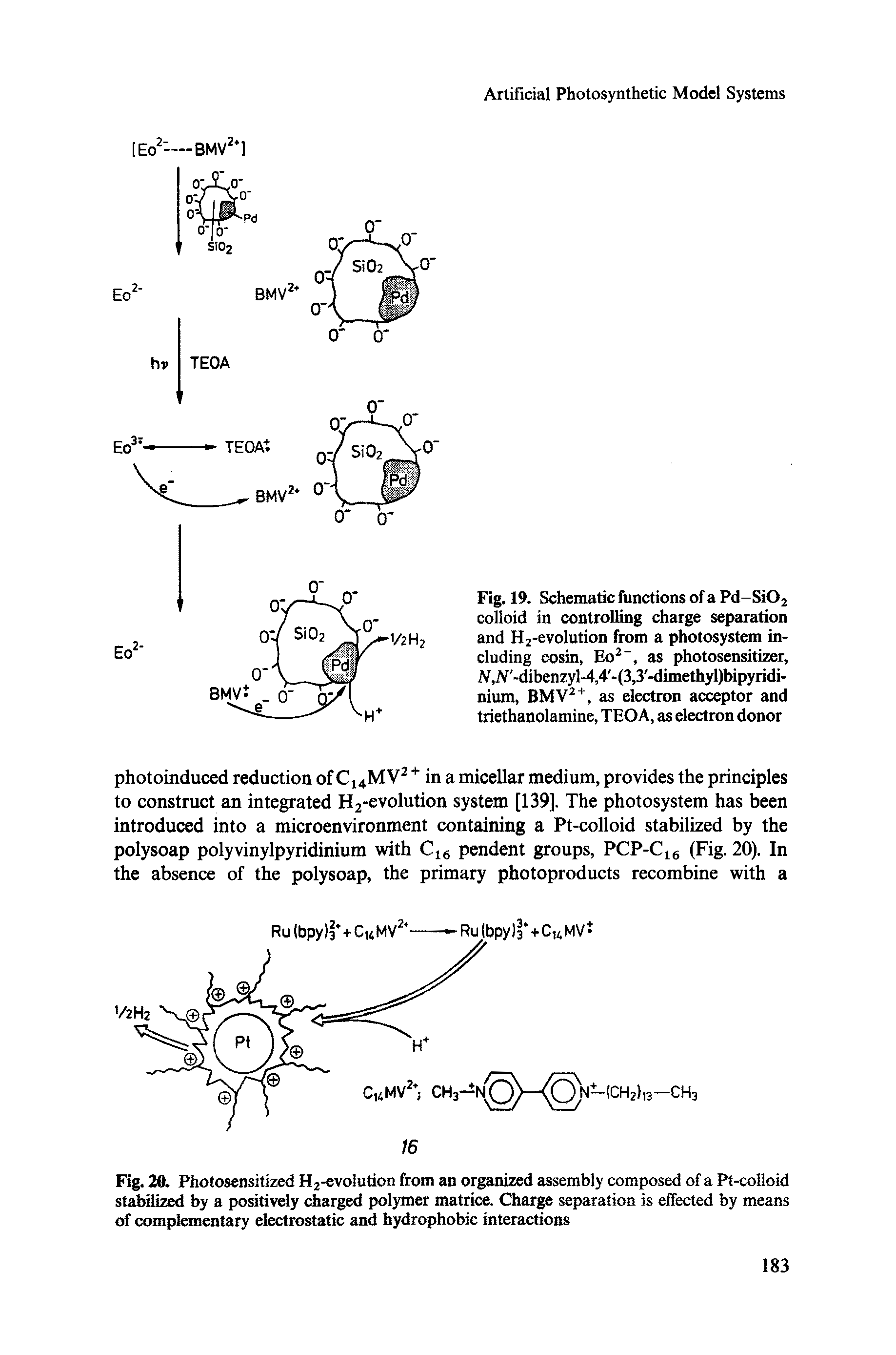 Fig. 19. Schematic functions of a Pd-Si02 colloid in controlling charge separation and Hrevolution from a photosystem including eosin, Eo2-, as photosensitizer, iV,JV -dibenzyl-4,4 -(3,3 -dimethyl)bipyridi-nium, BMV2+, as electron acceptor and triethanolamine, TEOA, as electron donor...