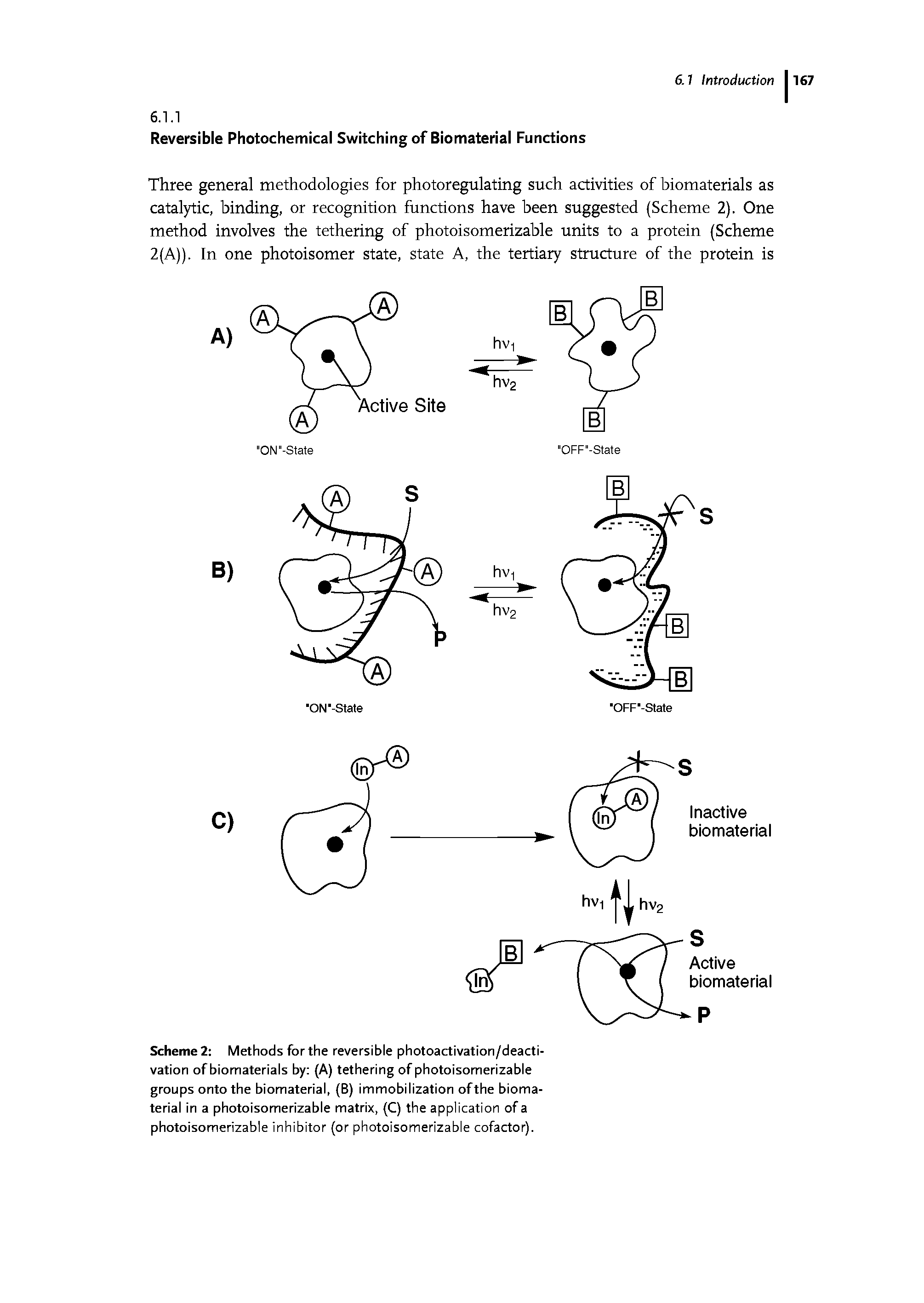 Scheme2 Methods forthe reversible photoactivation/deacti-vation of biomaterials by (A) tethering of photoisomerizable groups onto the biomaterial, (B) immobilization ofthe biomaterial in a photoisomerizable matrix, (C) the application of a photoisomerizable inhibitor (or photoisomerizable cofactor).