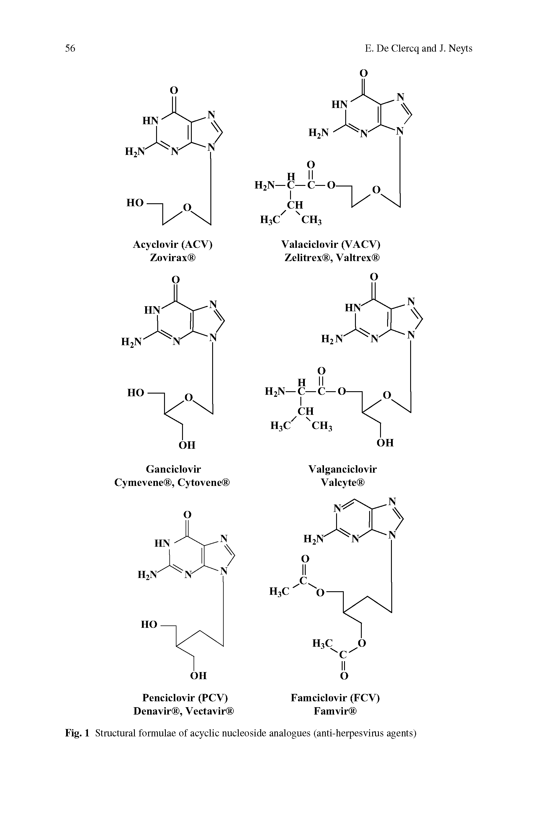 Fig. 1 Stractural formulae of acyclic nucleoside analogues (anti-herpesvirus agents)...