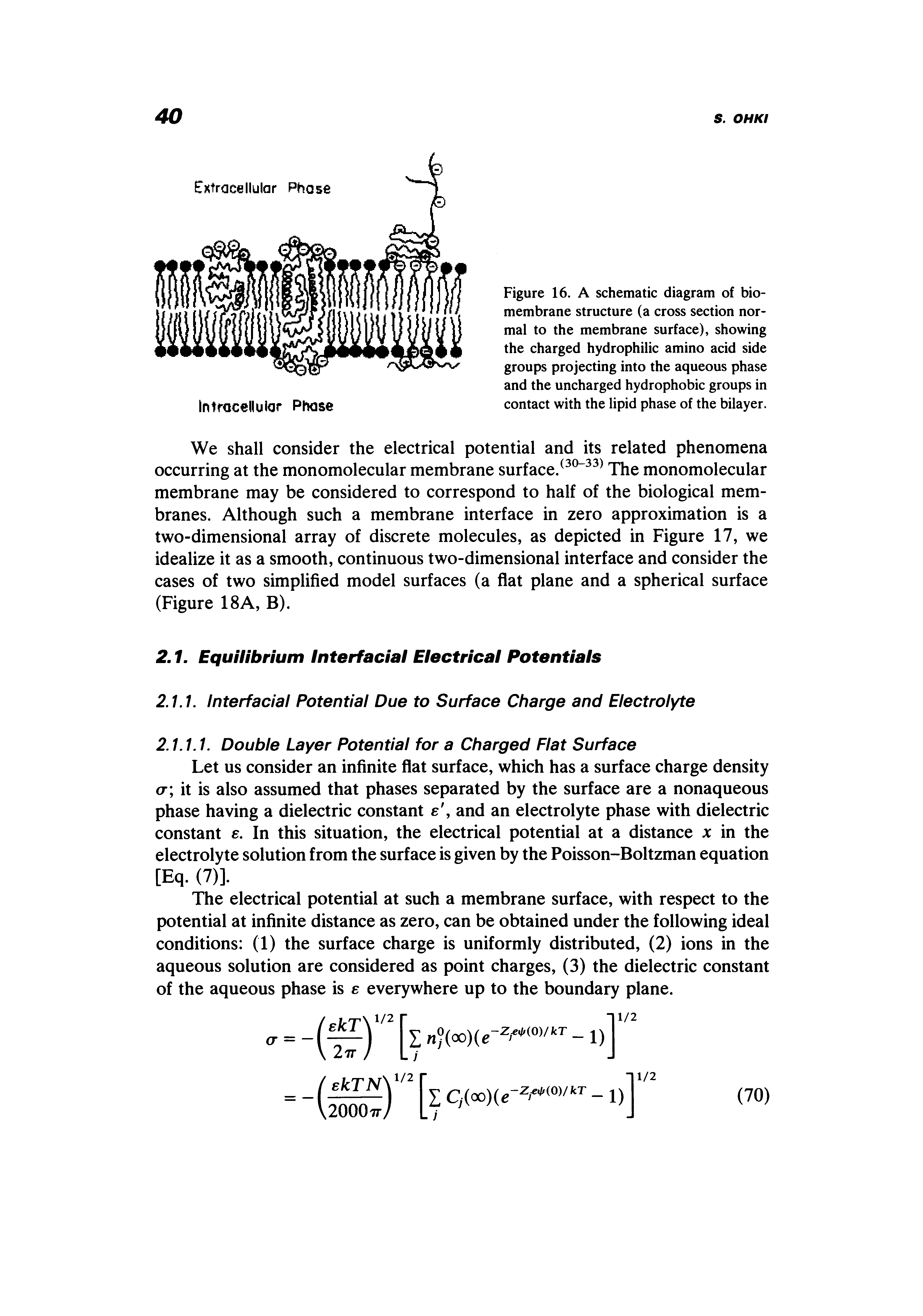 Figure 16. A schematic diagram of biomembrane structure (a cross section normal to the membrane surface), showing the charged hydrophilic amino acid side groups projecting into the aqueous phase and the uncharged hydrophobic groups in contact with the lipid phase of the bilayer.