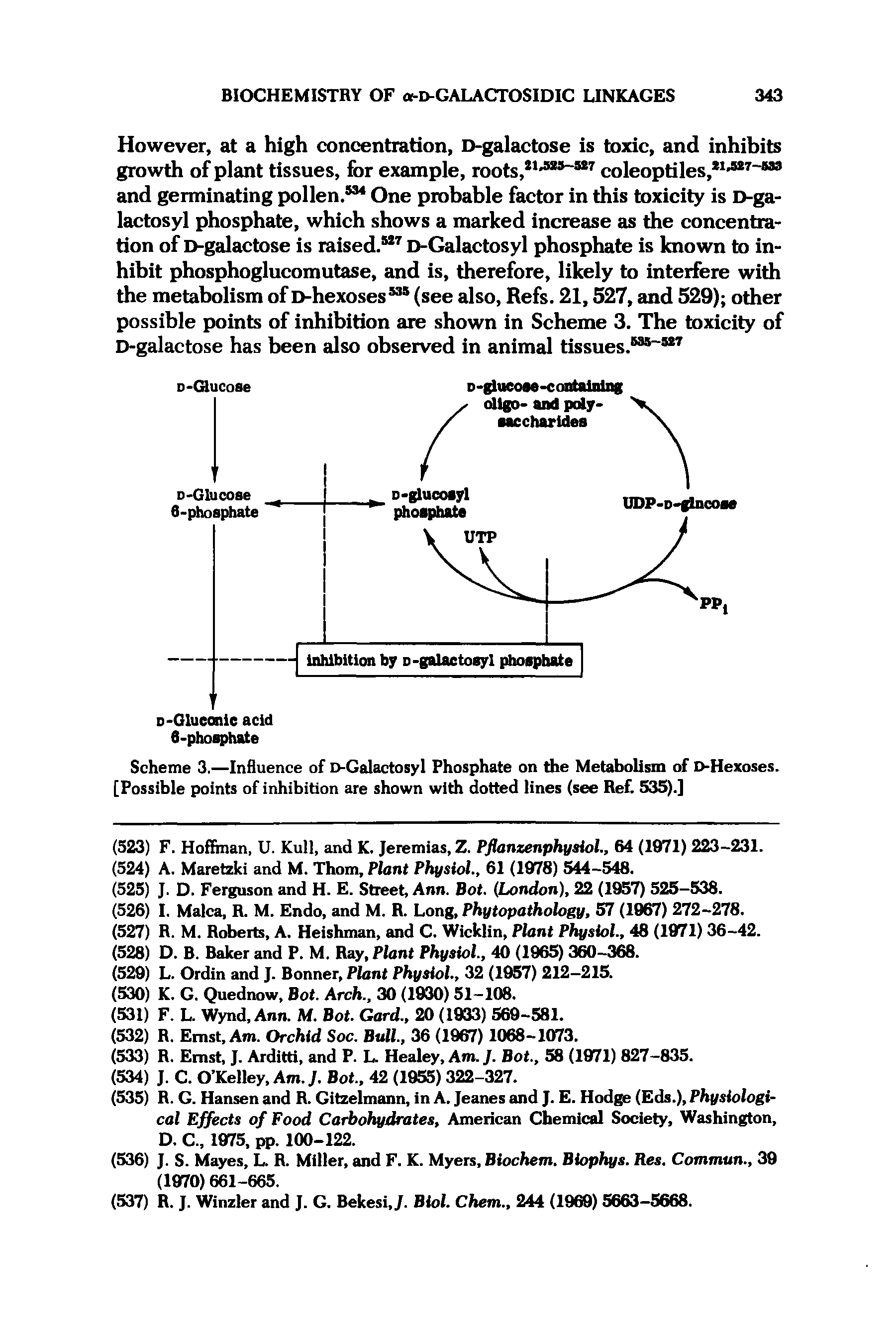 Scheme 3.—Influence of D-Galactosyl Phosphate on the Metabolism of D-Hexoses. [Possible points of inhibition are shown with dotted lines (see Ref. 535).]...