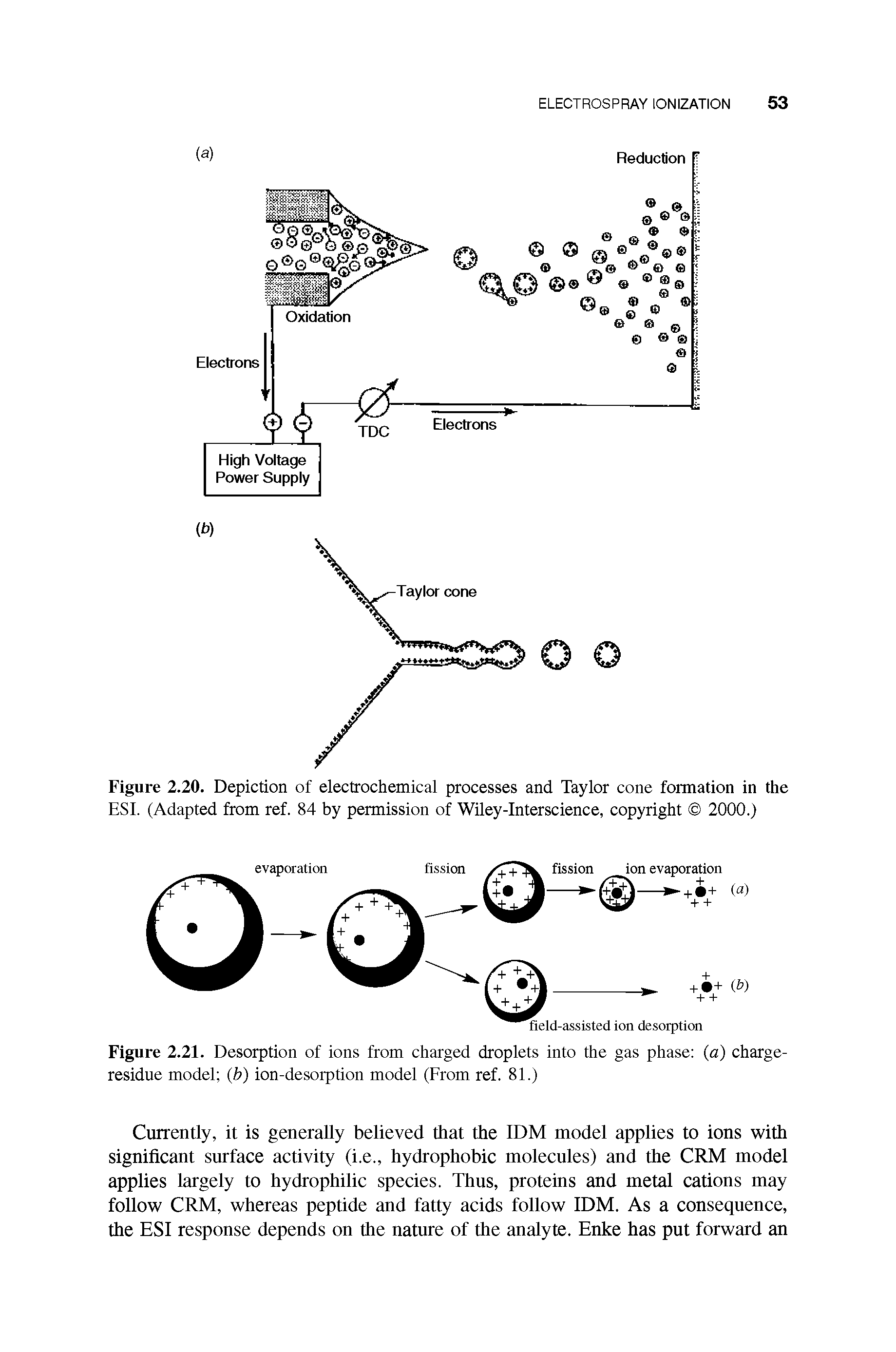 Figure 2.20. Depiction of electrochemical processes and Taylor cone formation in the ESI. (Adapted from ref. 84 by permission of Wiley-Interscience, copyright 2000.)...