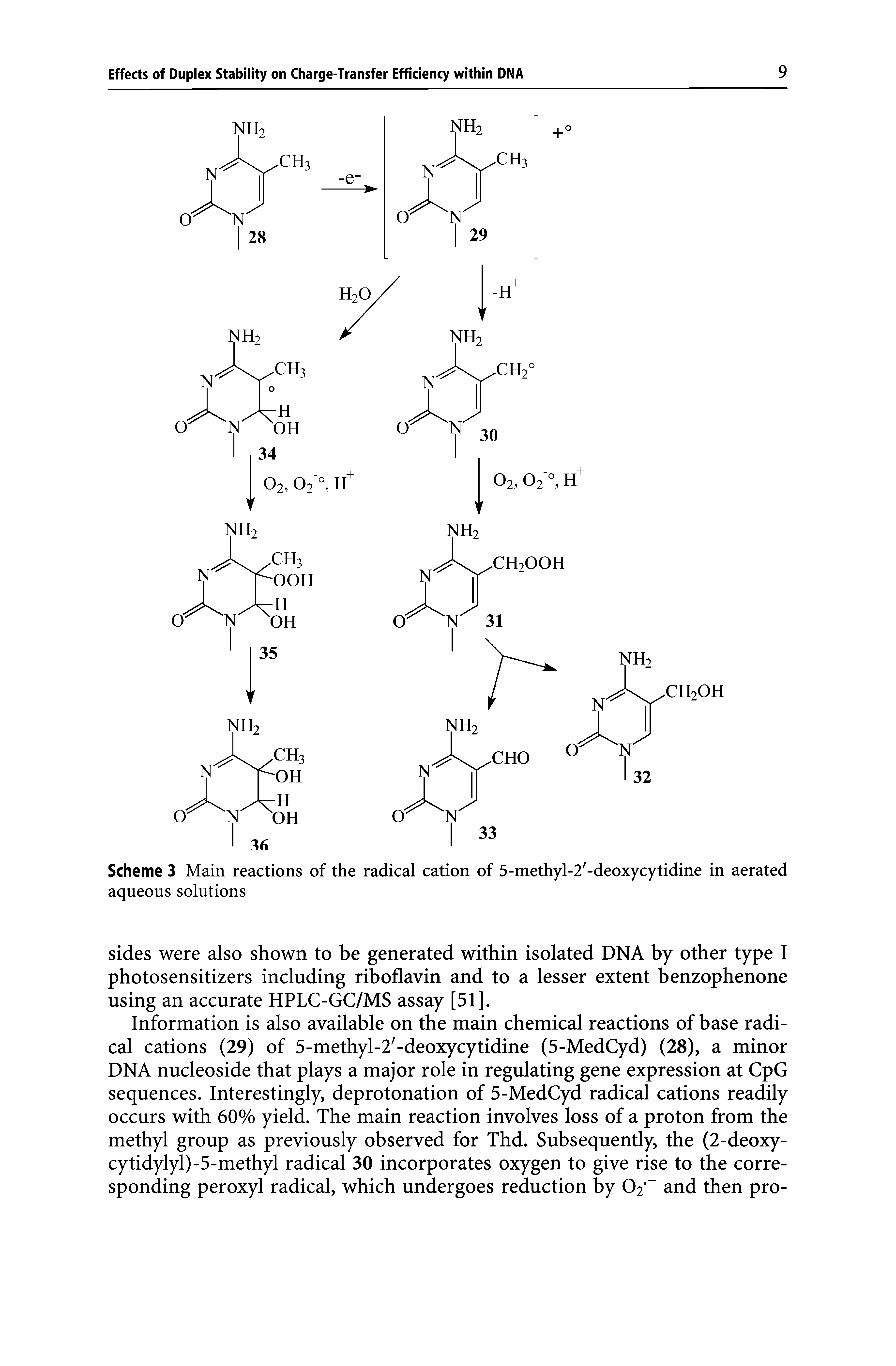Scheme 3 Main reactions of the radical cation of 5-methyl-2 -deoxycytidine in aerated aqueous solutions...