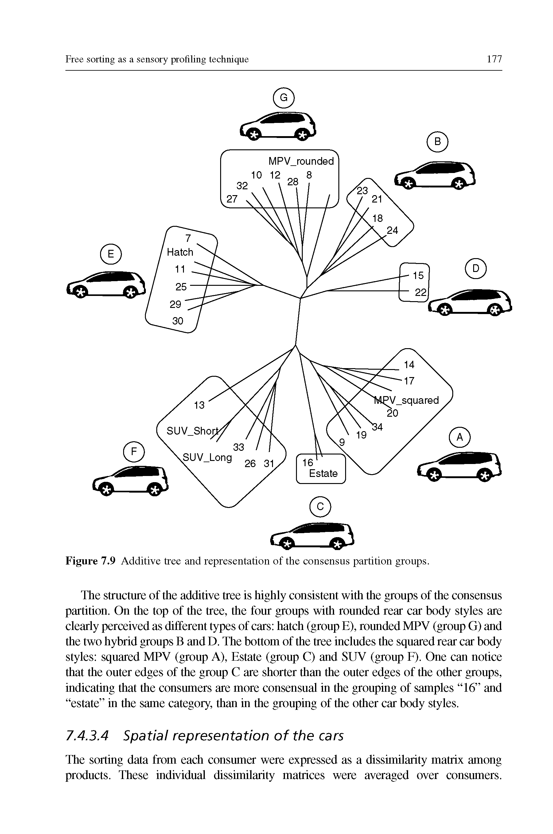 Figure 7.9 Additive tree and representation of the consensus partition groups.