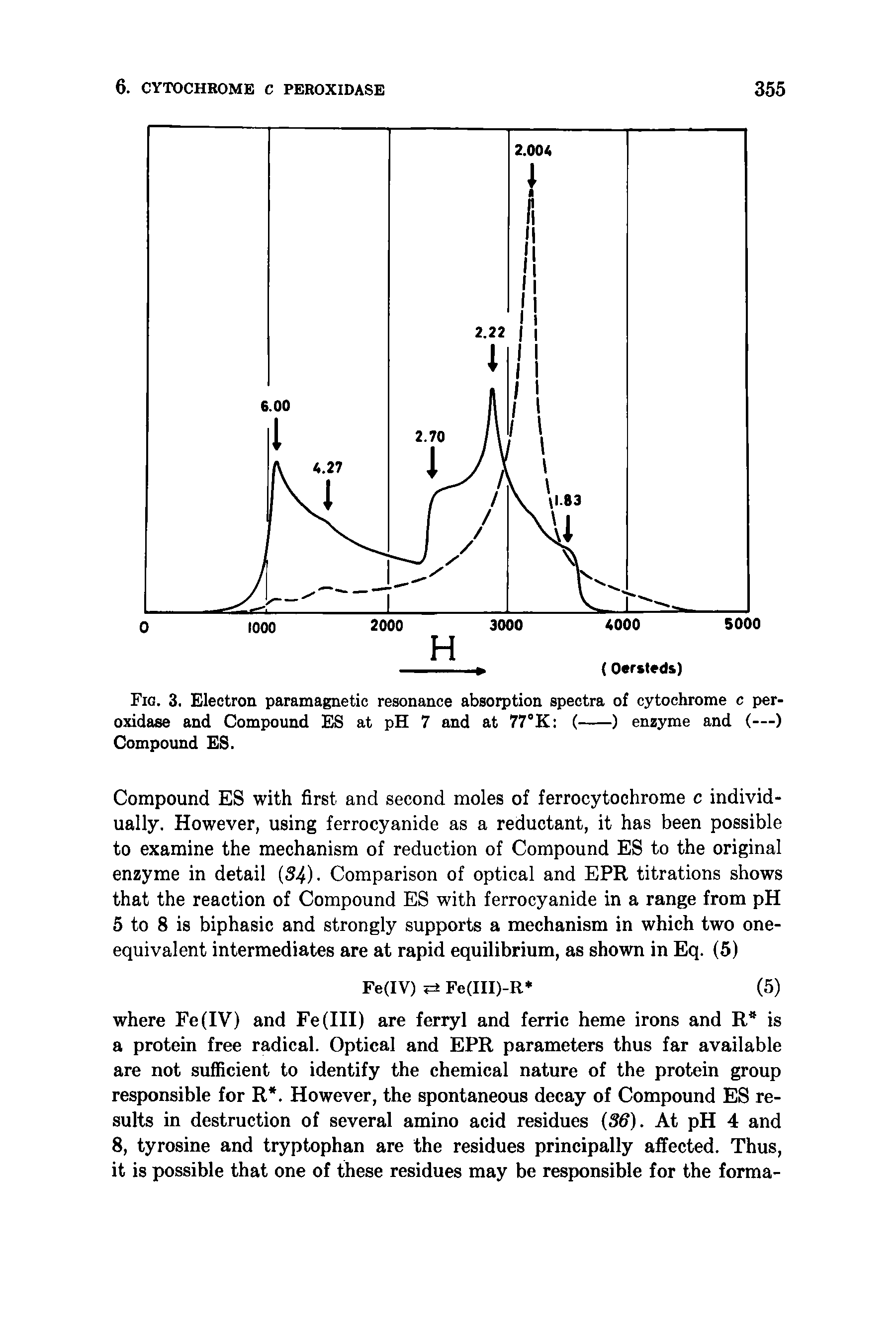 Fig. 3. Electron paramagnetic resonance absorption spectra of cytochrome c peroxidase and Compound ES at pH 7 and at 77°K (-------) enzyme and (—)...