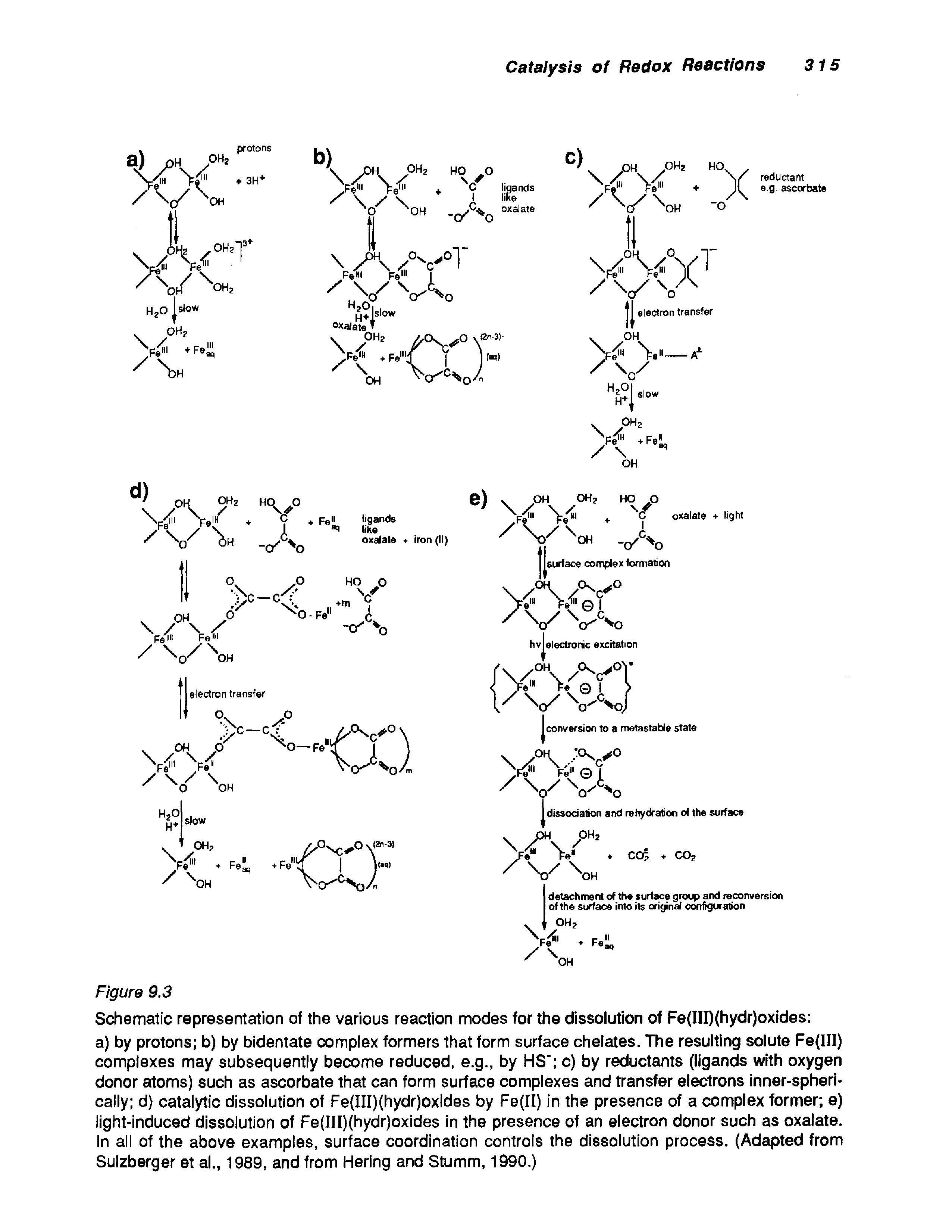 Schematic representation of the various reaction modes for the dissolution of Fe(III)(hydr)oxides a) by protons b) by bidentate complex formers that form surface chelates. The resulting solute Fe(III) complexes may subsequently become reduced, e.g., by HS c) by reductants (ligands with oxygen donor atoms) such as ascorbate that can form surface complexes and transfer electrons inner-spheri-cally d) catalytic dissolution of Fe(III)(hydr)oxides by Fe(II) in the presence of a complex former e) light-induced dissolution of Fe(III)(hydr)oxides in the presence of an electron donor such as oxalate. In all of the above examples, surface coordination controls the dissolution process. (Adapted from Sulzberger et al., 1989, and from Hering and Stumm, 1990.)...
