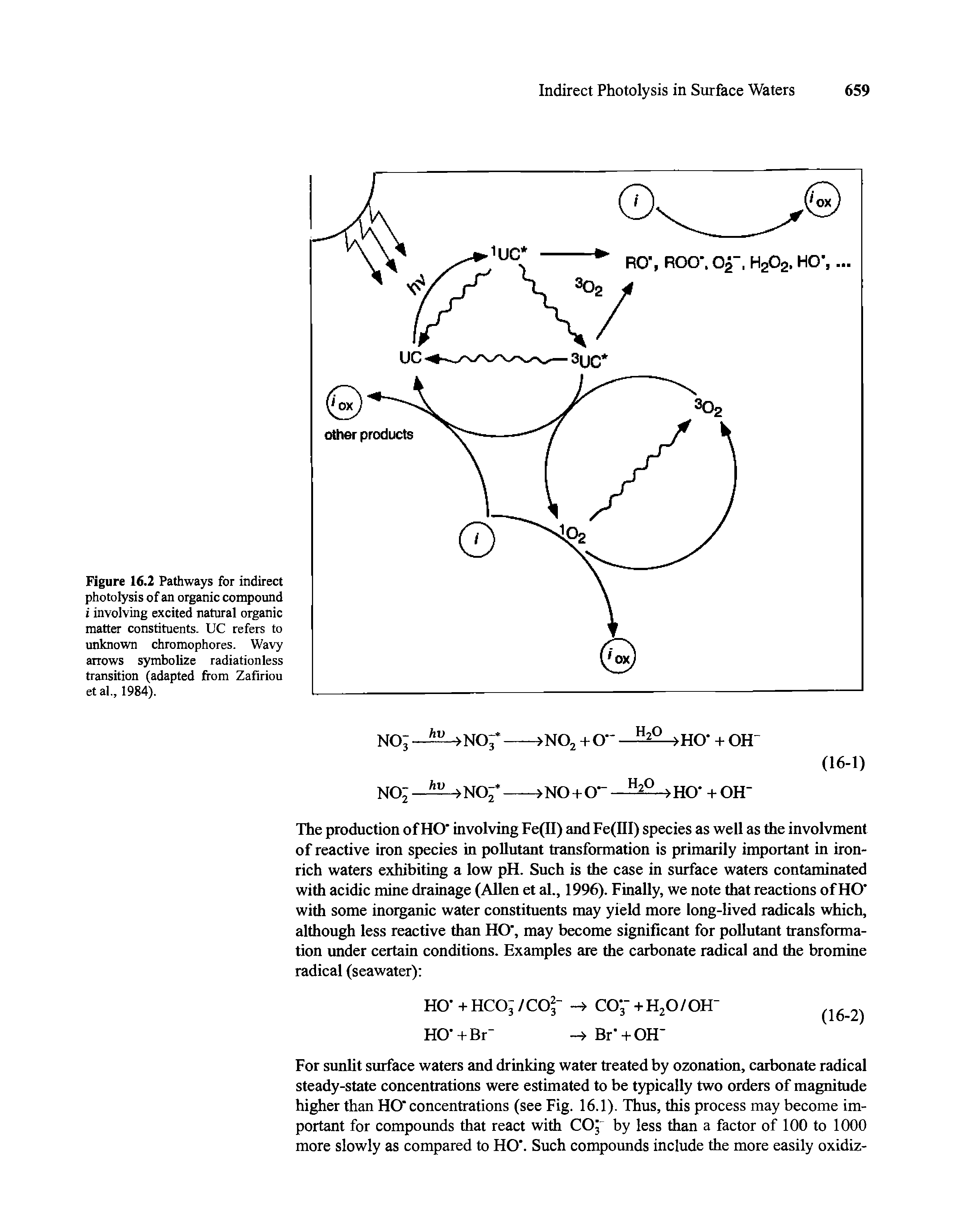 Figure 16.2 Pathways for indirect photolysis of an organic compound i involving excited natural organic matter constituents. UC refers to unknown chromophores. Wavy arrows symbolize radiationless transition (adapted from Zafiriou et al., 1984).