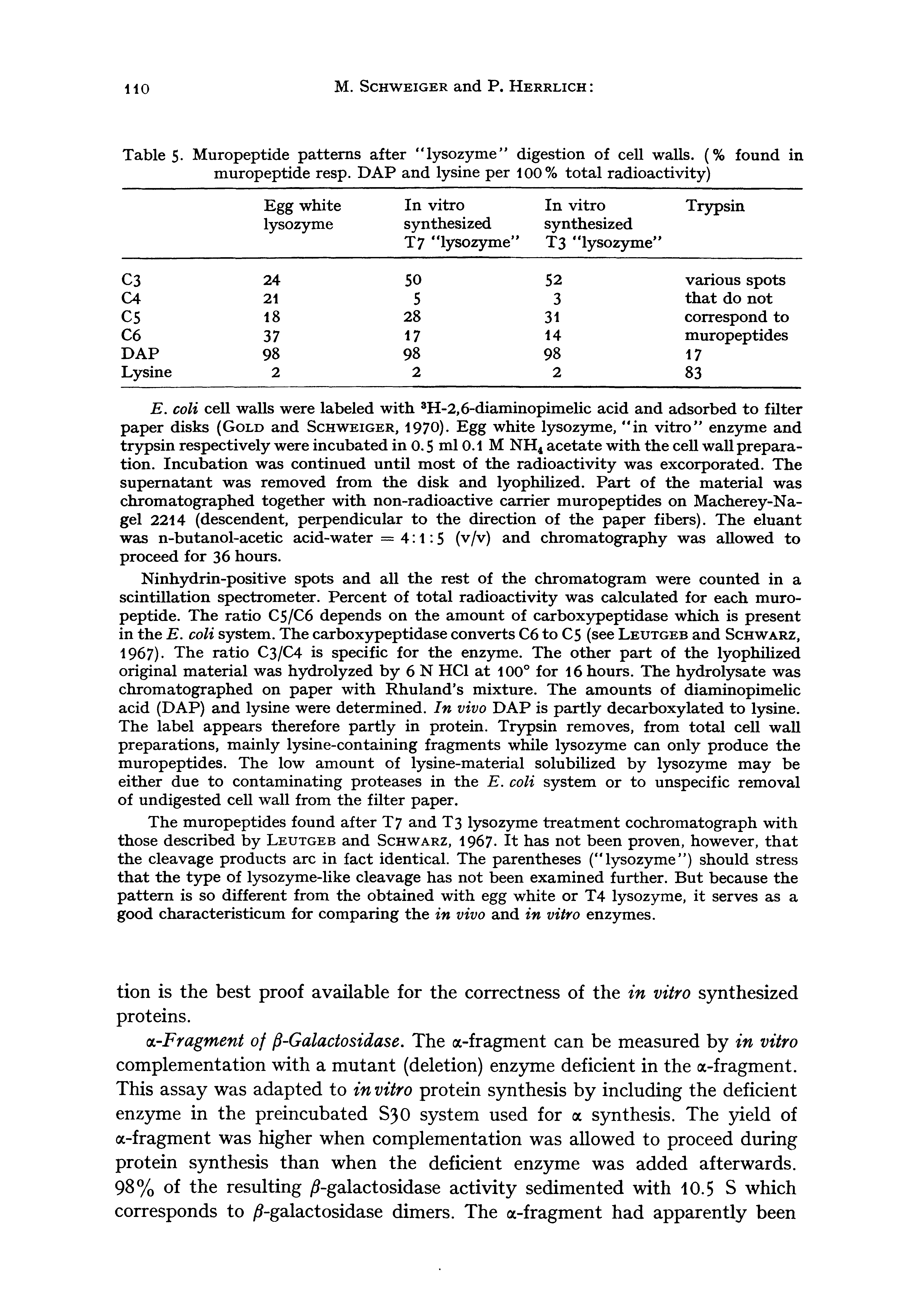 Table 5- Muropeptide patterns after lysozyme digestion of cell walls. (% found in muropeptide resp. DAP and lysine per 100% total radioactivity)...