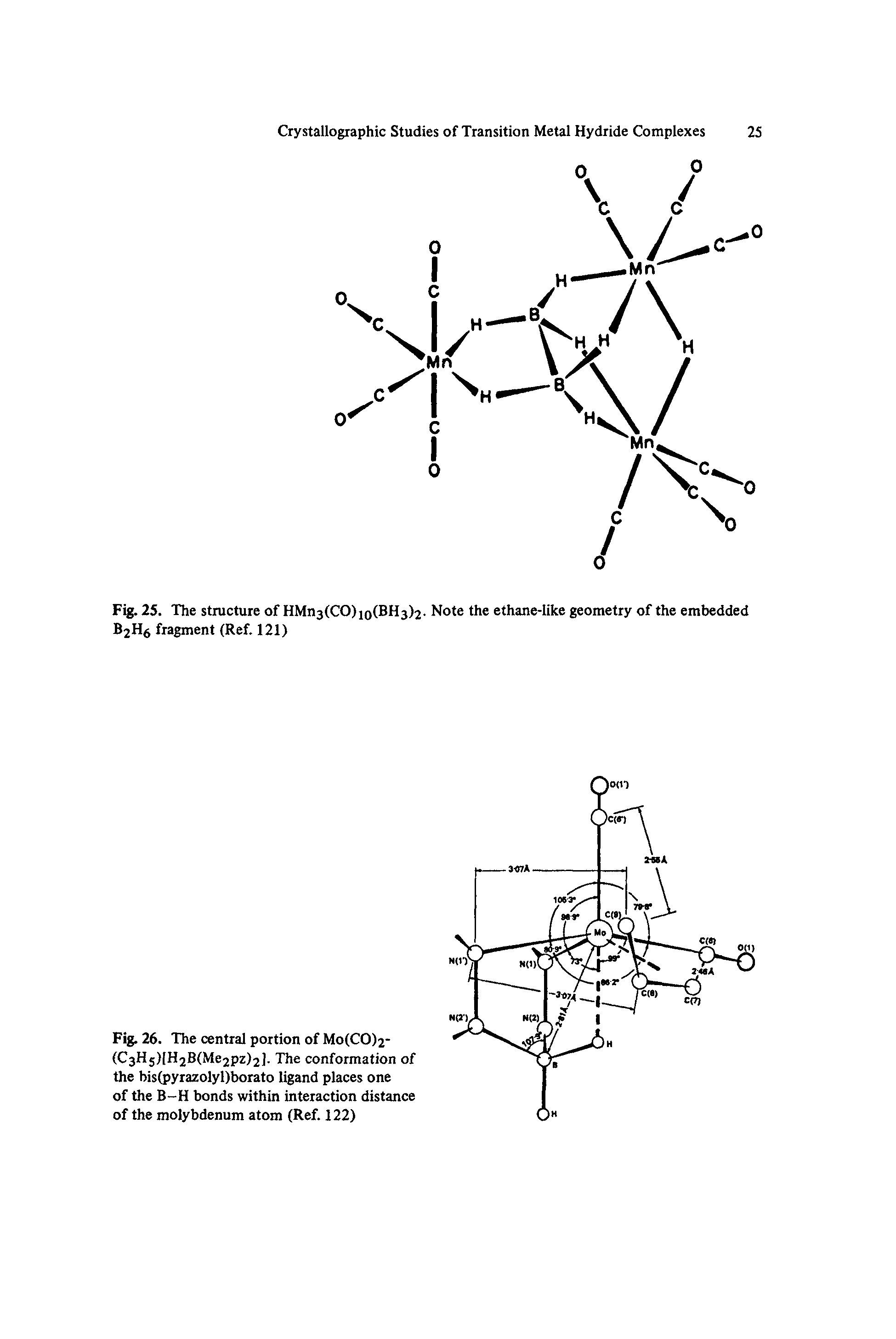 Fig. 26. The central portion of Mo(CO)2-(C3H5)[H2B(Me2pz)2]. The conformation of the bis(pyrazolyl)borato ligand places one of the B-H bonds within interaction distance of the molybdenum atom (Ref. 122)...