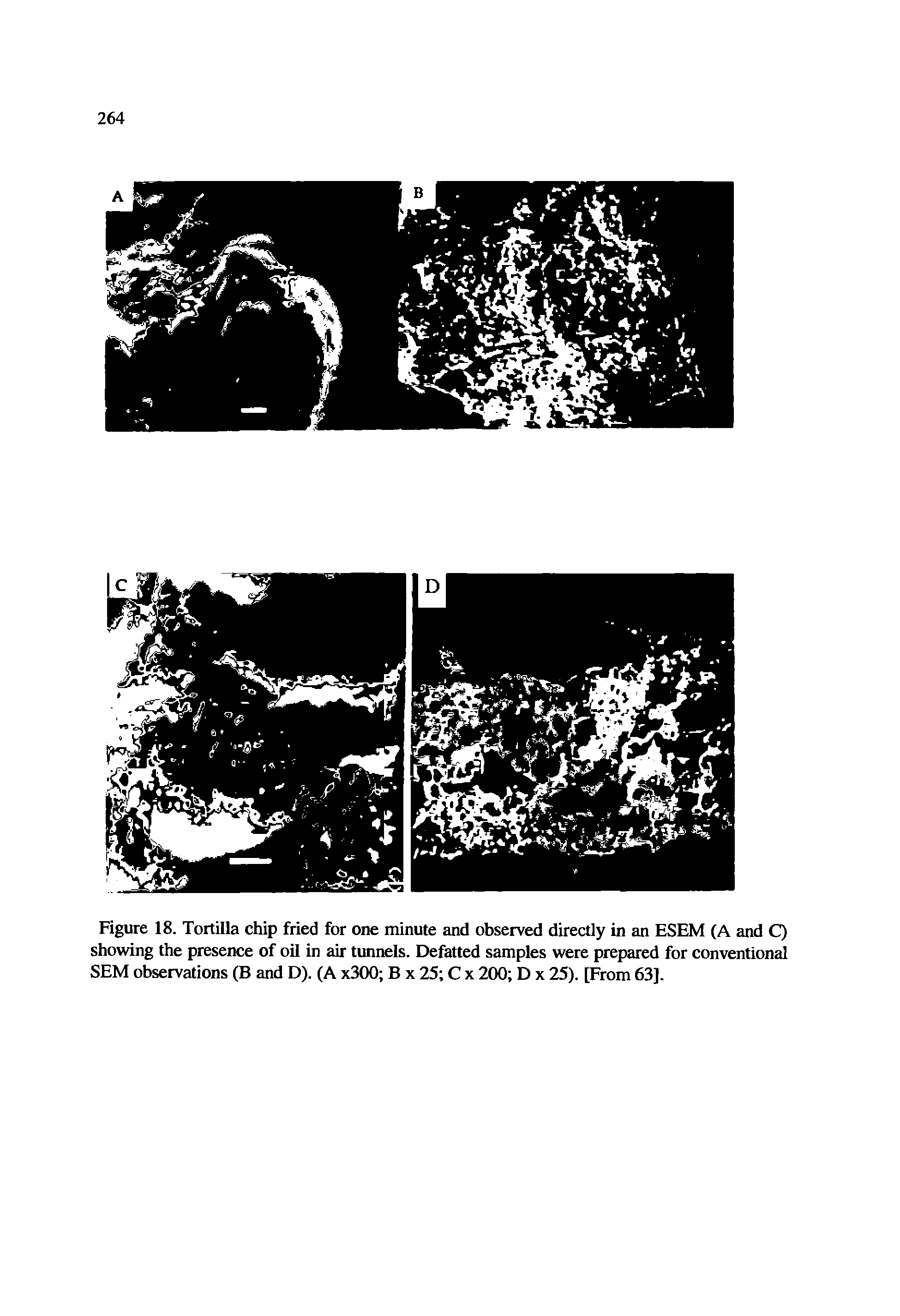 Figure 18. Tortilla chip fried for one minute and observed directly in an ESEM (A and Q showing the presence of oil in air tunnels. Defatted samples were prepared for conventional SEM observations (B and D). (A x300 B x 25 C x 200 D x 25). [From 63].