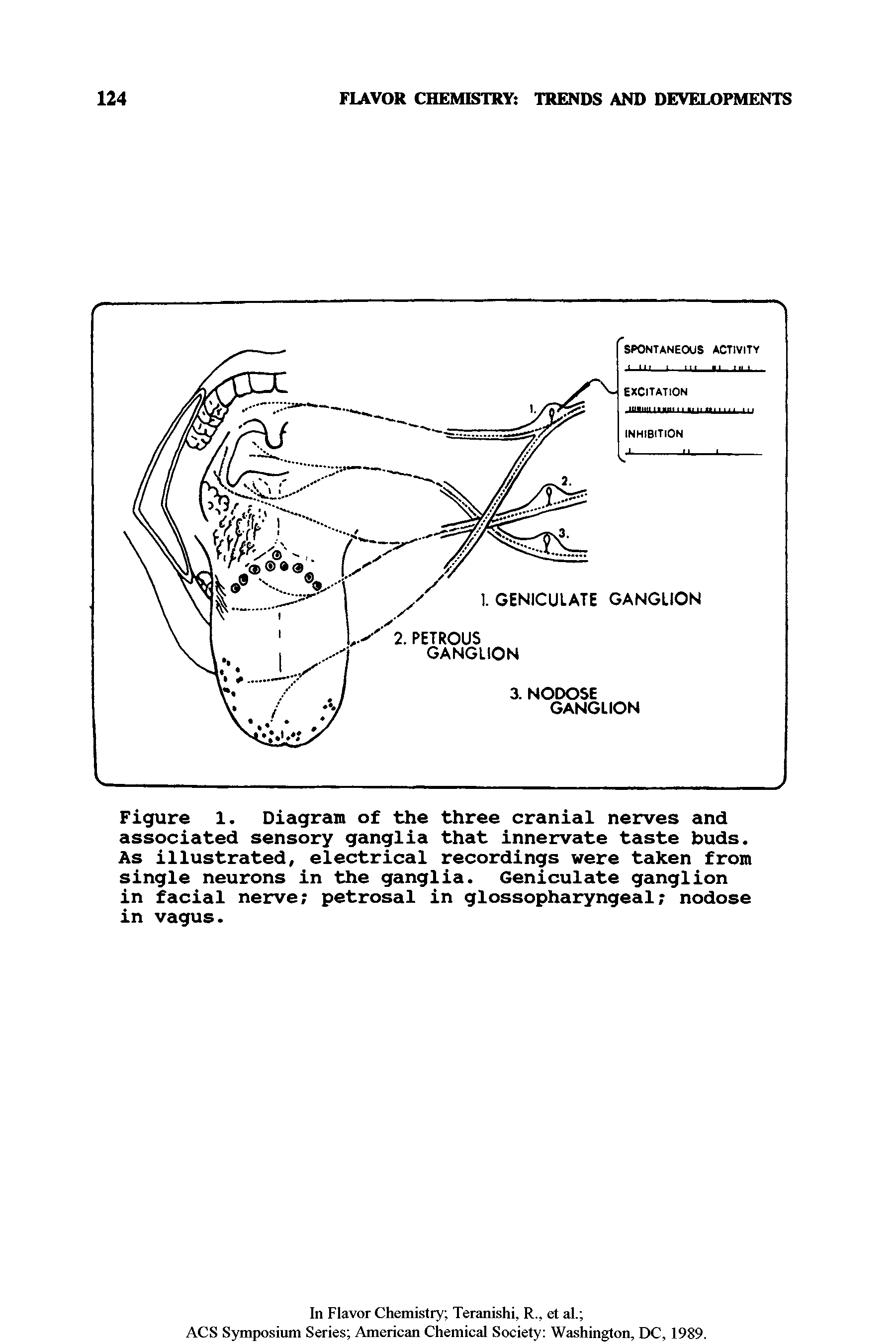 Figure 1. Diagram of the three cranial nerves and associated sensory ganglia that innervate taste buds. As illustrated, electrical recordings were taken from single neurons in the ganglia. Geniculate ganglion in facial nerve petrosal in glossopharyngeal nodose in vagus.