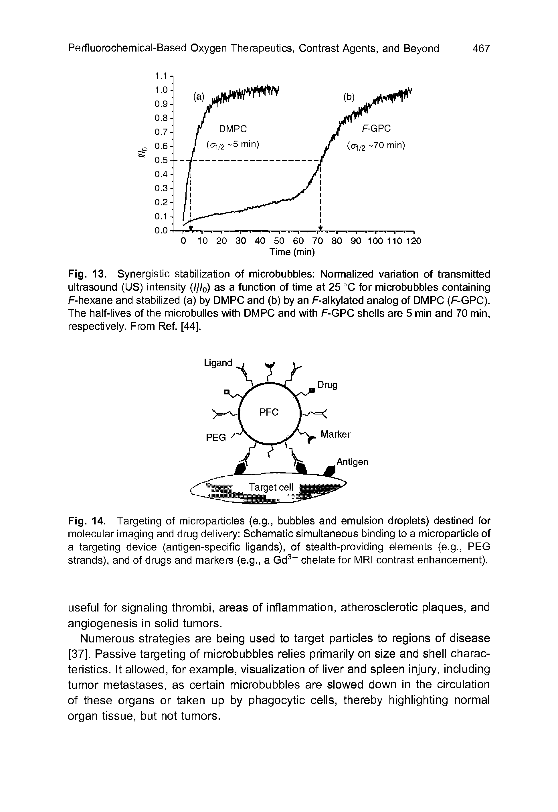 Fig. 14. Targeting of microparticles (e.g., bubbles and emulsion droplets) destined for molecular imaging and drug delivery Schematic simultaneous binding to a microparticle of a targeting device (antigen-specific ligands), of stealth-providing elements (e.g., PEG strands), and of drugs and markers (e.g., a Gd + chelate for MRI contrast enhancement).