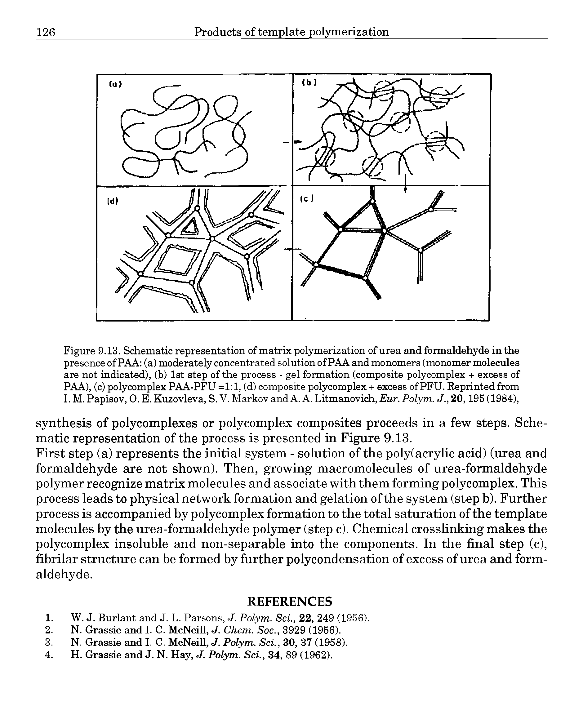 Figure 9.13. Schematic representation of matrix polymerization of urea and formaldehyde in the presence of PAA (a) moderately concentrated solution of PAA and monomers (monomer molecules are not indicated), (b) 1st step of the process - gel formation (composite polycomplex + excess of PAA), (c) polycomplex PAA-PFU =1 1, (d) composite polycomplex + excess of PFU. Reprinted from I. M. Papisov, 0. E. Kuzovleva, S. V. Markov and A. A. Litmanovich, Eur. PoZy/n. J.,20,195(1984),...