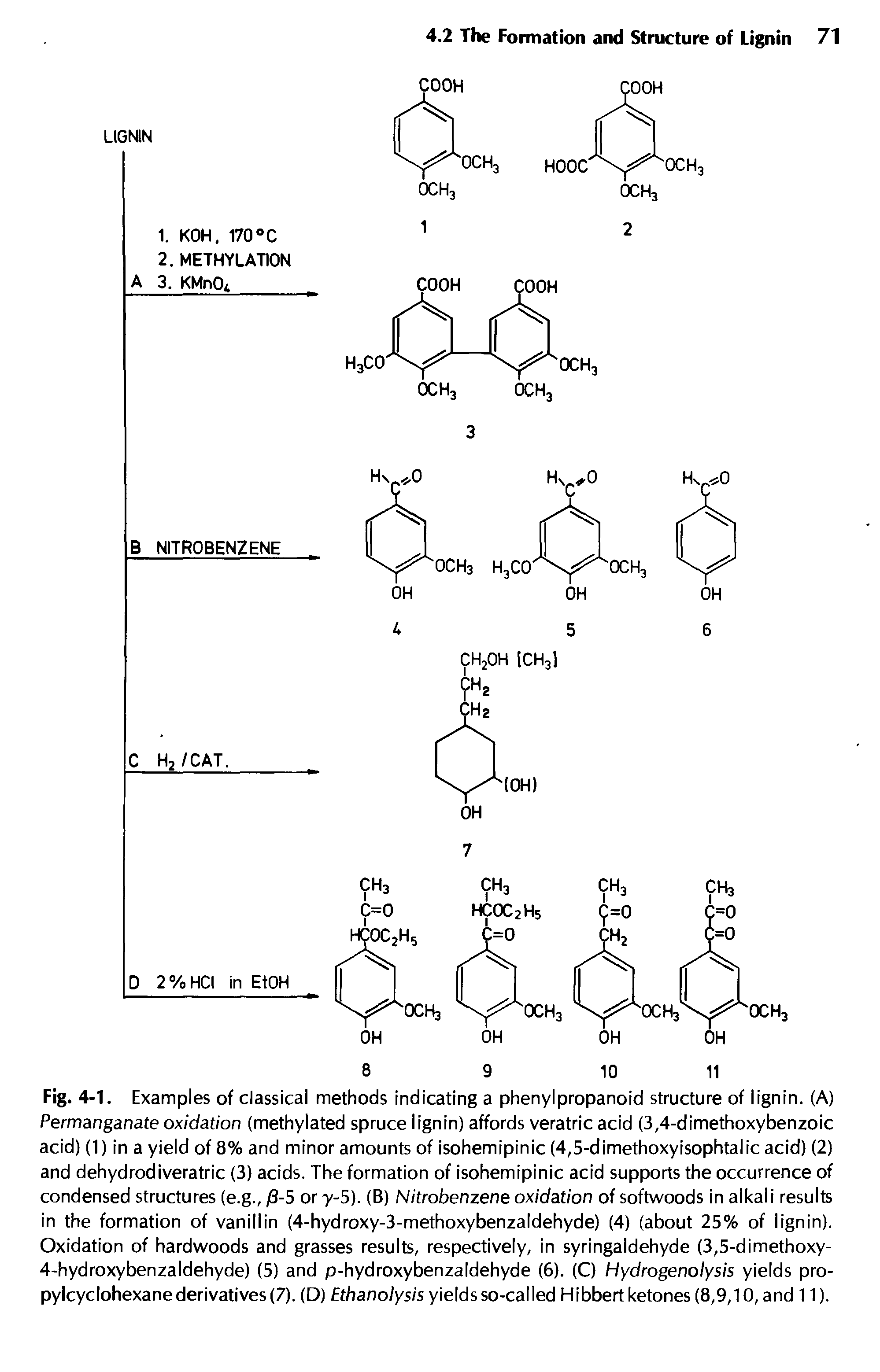 Fig. 4-1. Examples of classical methods indicating a phenylpropanoid structure of lignin. (A) Permanganate oxidation (methylated spruce lignin) affords veratric acid (3,4-dimethoxybenzoic acid) (1) in a yield of 8% and minor amounts of isohemipinic (4,5-dimethoxyisophtalic acid) (2) and dehydrodiveratric (3) acids. The formation of isohemipinic acid supports the occurrence of condensed structures (e.g., /3-5 or y-5). (B) Nitrobenzene oxidation of softwoods in alkali results in the formation of vanillin (4-hydroxy-3-methoxybenzaldehyde) (4) (about 25% of lignin). Oxidation of hardwoods and grasses results, respectively, in syringaldehyde (3,5-dimethoxy-4-hydroxybenzaldehyde) (5) and p-hydroxybenzaldehyde (6). (C) Hydrogenolysis yields pro-pylcyclohexane derivatives (7). (D) Ethanolysis yields so-called Hibbert ketones (8,9,10, and 11).