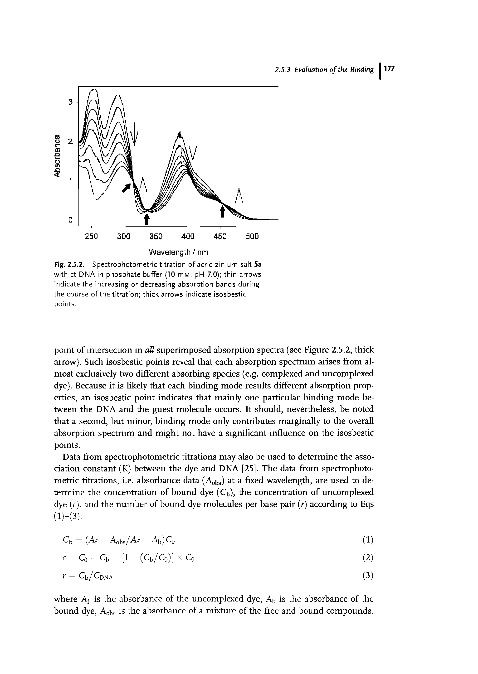 Fig. 2.5.2. Spectrophotometric titration of acridizinium salt 5a with ct DNA in phosphate buffer (10 mM, pH 7.0) thin arrows indicate the increasing or decreasing absorption bands during the course of the titration thick arrows indicate isosbestic points.