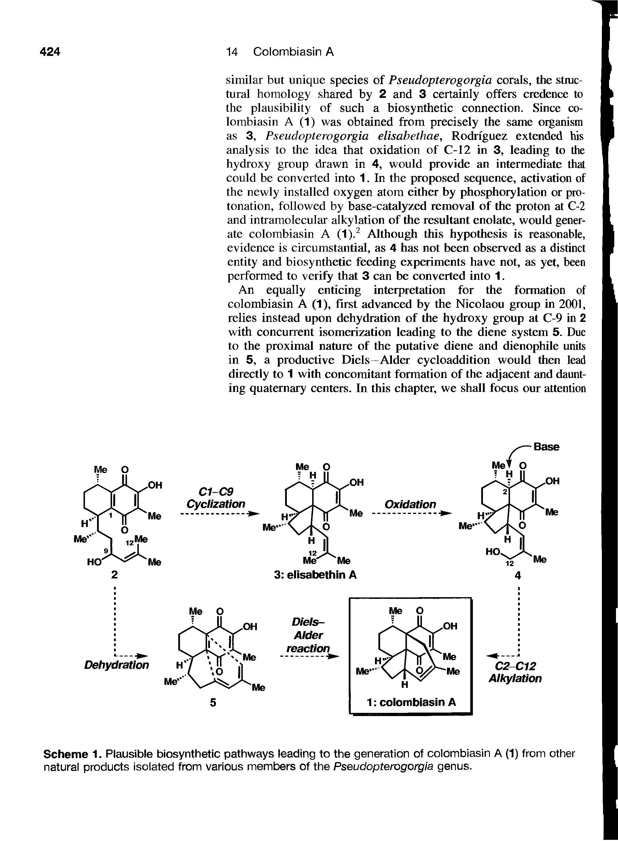 Scheme 1. Plausible biosynthetic pathways leading to the generation of colombiasin A (1) from other natural products isolated from various members of the Pseudopterogorgia genus.