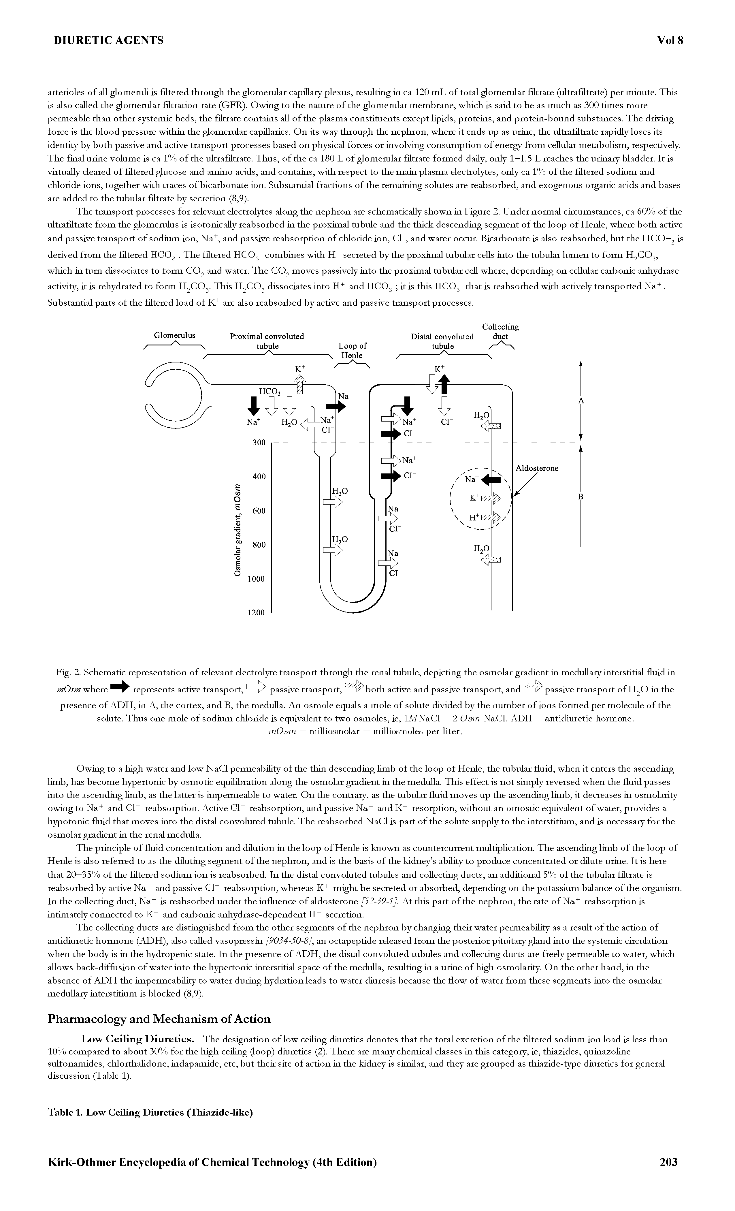 Fig. 2. Schematic representation of relevant electrolyte transport through the renal tubule, depicting the osmolar gradient ia medullary iaterstitial fluid ia ywOj yW where represents active transport, —passive transport, hoth active and passive transport, and passive transport of H2O ia the presence of ADH, ia A, the cortex, and B, the medulla. An osmole equals a mole of solute divided by the number of ions formed per molecule of the solute. Thus one mole of sodium chloride is equivalent to two osmoles, ie, lAfNaCl = 2 Osm NaCl. ADH = antidiuretic hormone.