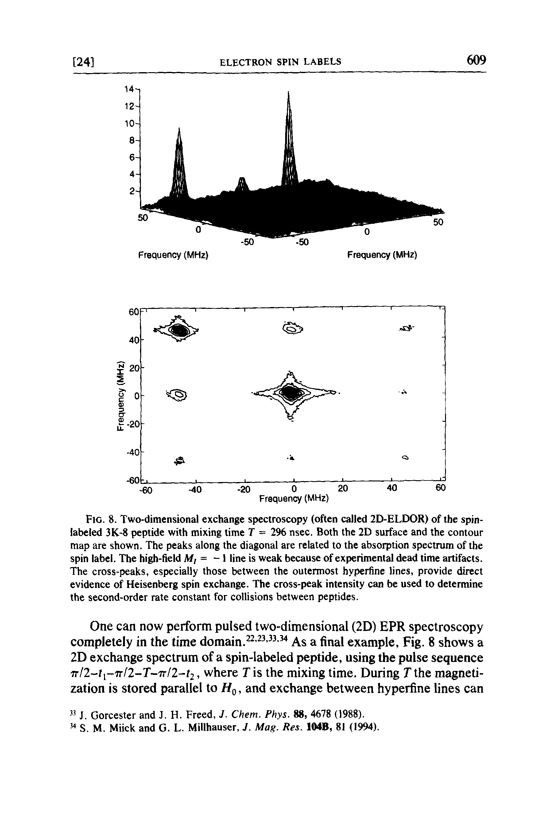Fig. 8. Two-dimensional exchange spectroscopy (often called 2D-ELDOR) of the spin-labeled 3K-8 peptide with mixing time T = 296 nsec. Both the 2D surface and the contour map are shown. The peaks along the diagonal are related to the absorption spectrum of the spin label. The high-held M,= - line is weak because of experimental dead time artifacts. The cross-peaks, especially those between the outermost hyperfine lines, provide direct evidence of Heisenberg spin exchange. The cross-peak intensity can be used to determine the second-order rate constant for collisions between peptides.