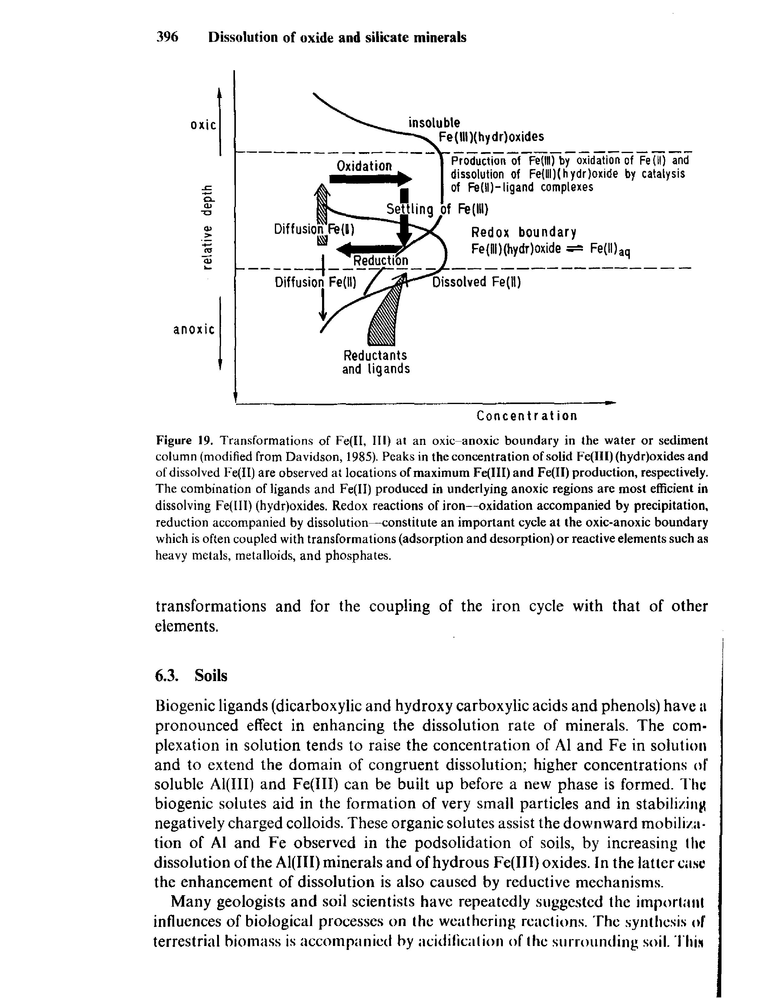 Figure 19. Transformations of Fe(II, III) at an oxic anoxic boundary in the water or sediment column (modified from Davidson, 1985). Peaks in the concentration of solid Fe(III) (hydr)oxides and of dissolved Fe II) are observed at locations of maximum Fe(III) and Fe(II) production, respectively. The combination of ligands and Fe(ll) produced in underlying anoxic regions are most efficient in dissolving Fe(III) (hydr)oxides. Redox reactions of iron—oxidation accompanied by precipitation, reduction accompanied by dissolution—constitute an important cycle at the oxic-anoxic boundary which is often coupled with transformations (adsorption and desorption) or reactive elements such as heavy metals, metalloids, and phosphates.