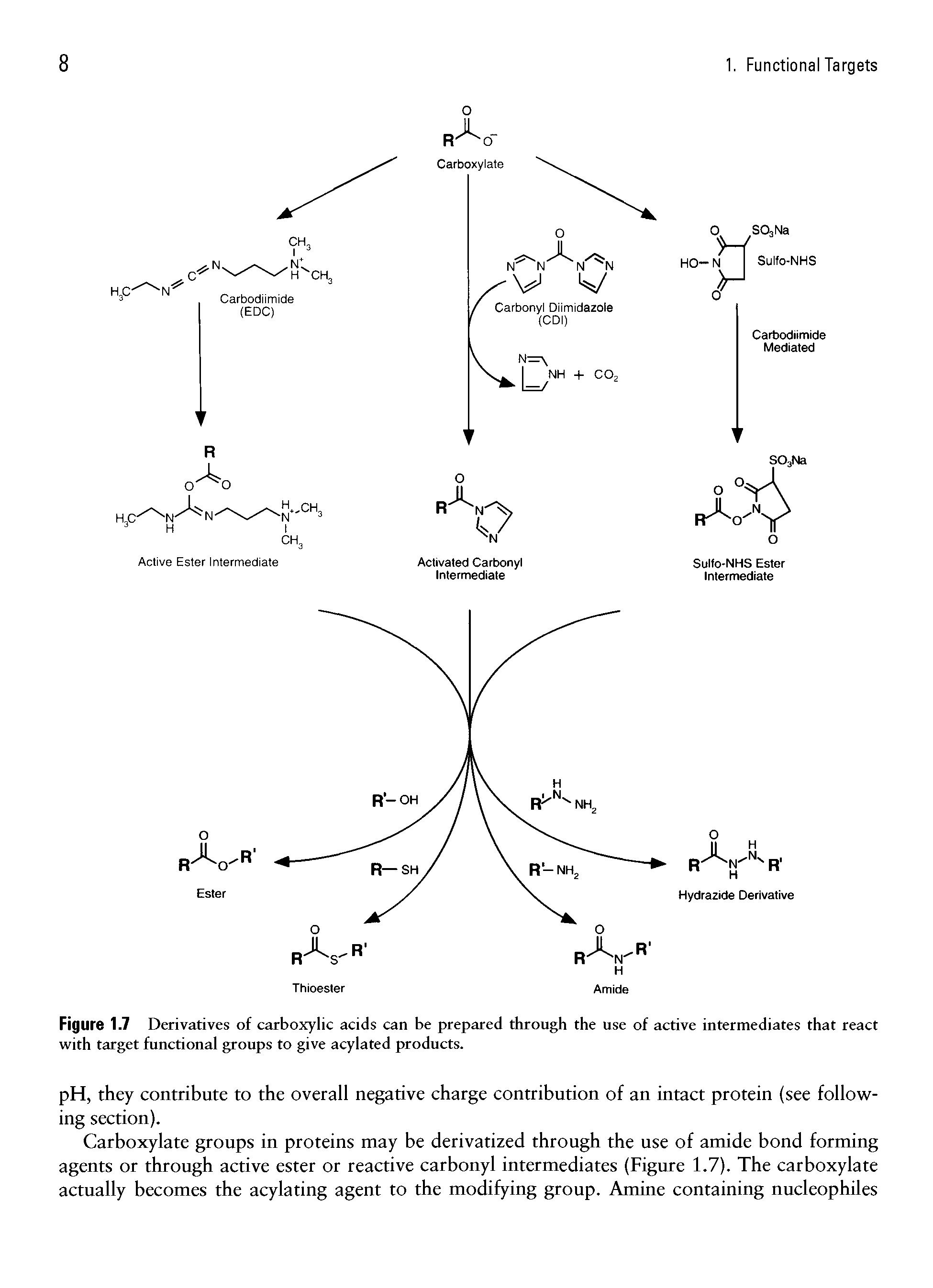 Figure 1.7 Derivatives of carboxylic acids can be prepared through the use of active intermediates that react with target functional groups to give acylated products.