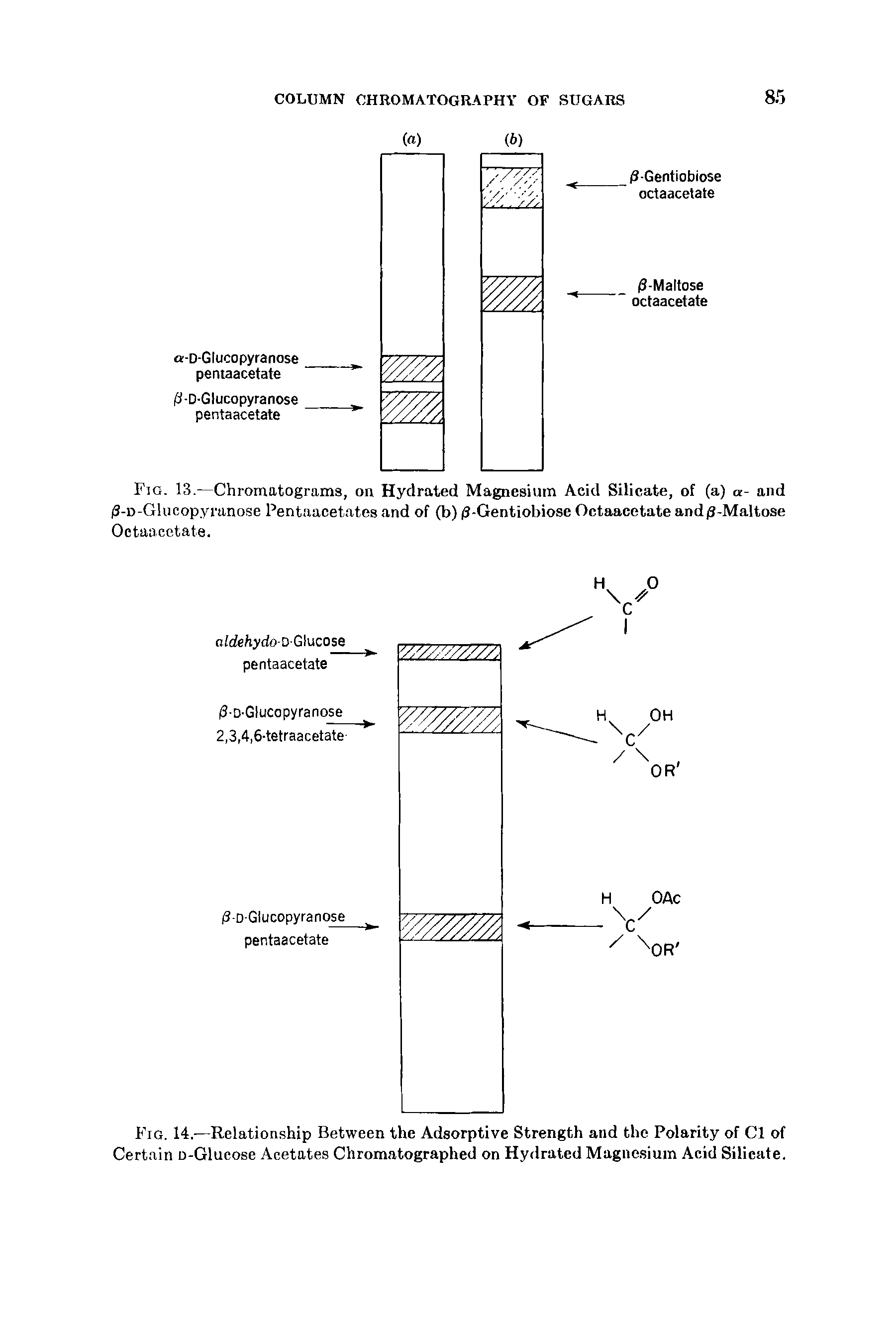 Fig. 14.—Relationship Between the Adsorptive Strength and the Polarity of Cl of Certain o-Glucose Acetates Chromatographed on Hydrated Magno.sium Acid Silicate.