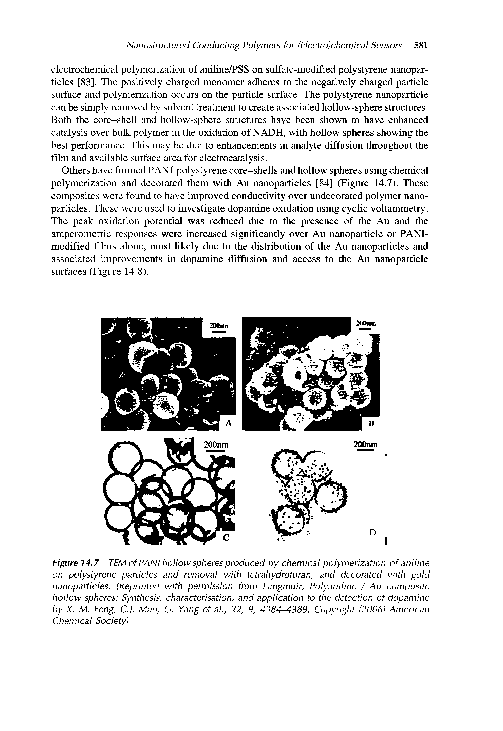Figure 14.7 TEM ofPANI hollow spheres produced by chemical polymerization of aniline on polystyrene particles and removal with tetrahydrofuran, and decorated with gold nanoparticles. (Reprinted with permission from Langmuir, Polyaniline / Au composite hollow spheres Synthesis, characterisation, and application to the detection of dopamine by X. M. Feng, C.J. Mao, C. Yang et al., 22, 9, 4384-4389. Copyright (2006) American Chemical Society)...