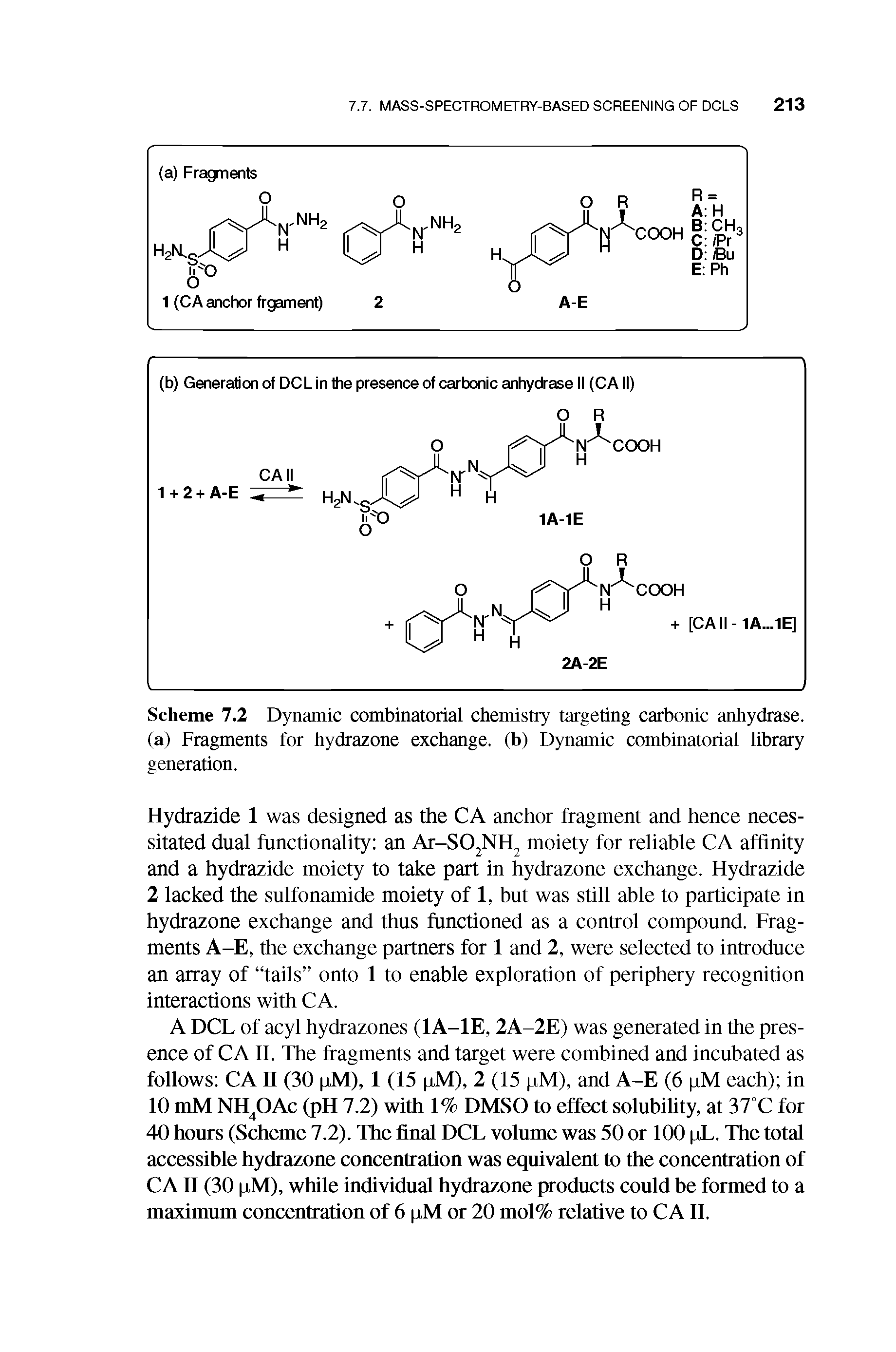Scheme 7.2 Dynamic combinatorial chemistry targeting carbonic anhydrase. (a) Fragments for hydrazone exchange, (b) Dynamic combinatorial library generation.