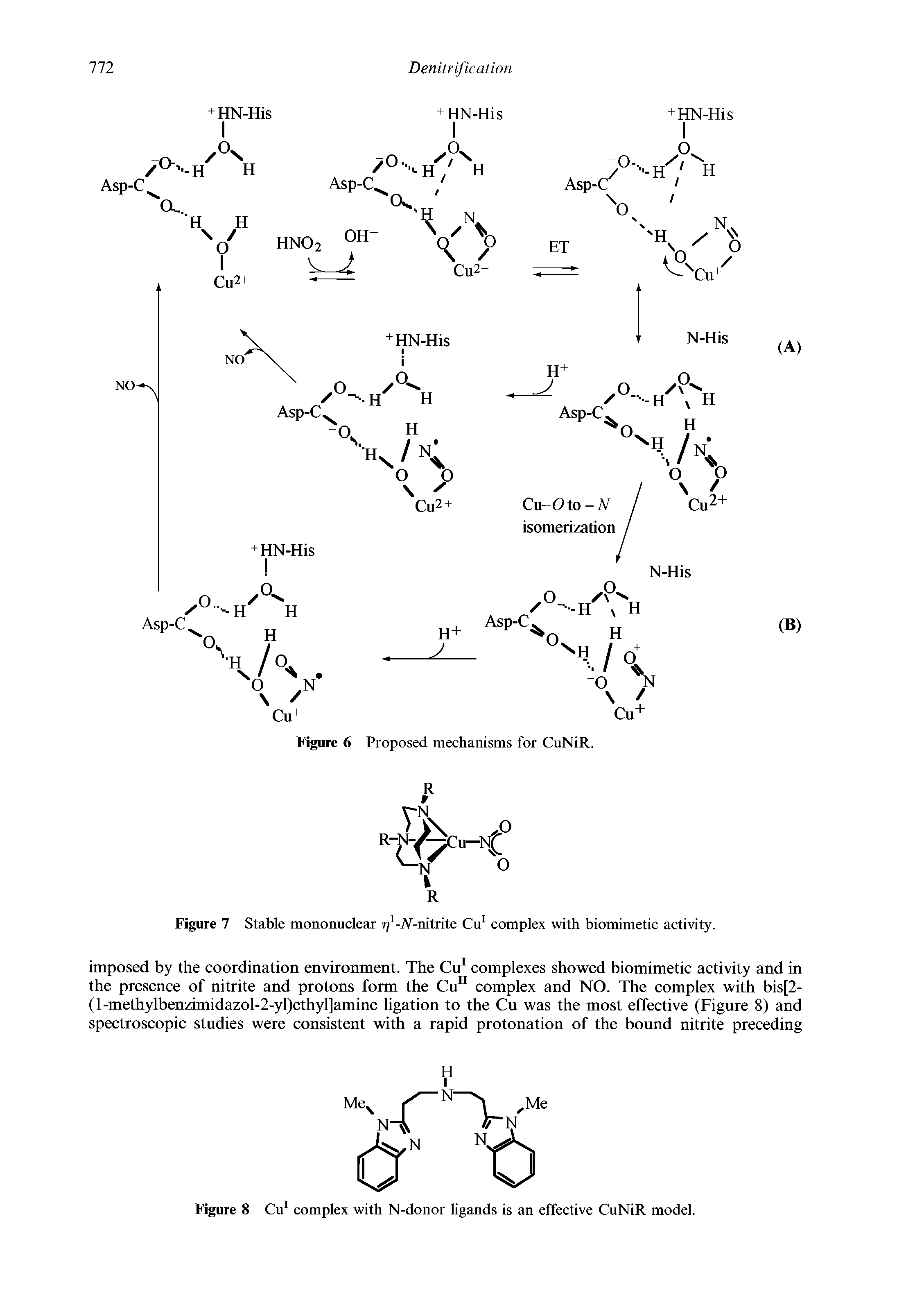 Figure 7 Stable mononuclear 7j -A-nitrite Cu complex with biomimetic activity.