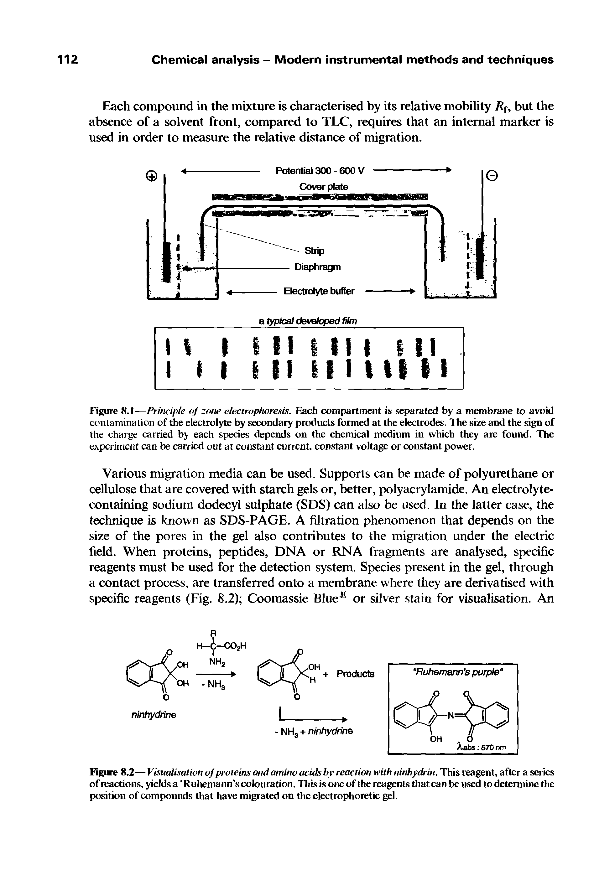 Figure 8.2— Visualisation of proteins and amino acids by reaction with ninhydrin. This reagent, after a series of reactions, yields a Ruhemann scolouration. This is one of the reagents that can be used to determine the position of compounds that have migrated on the electrophoretic gel.