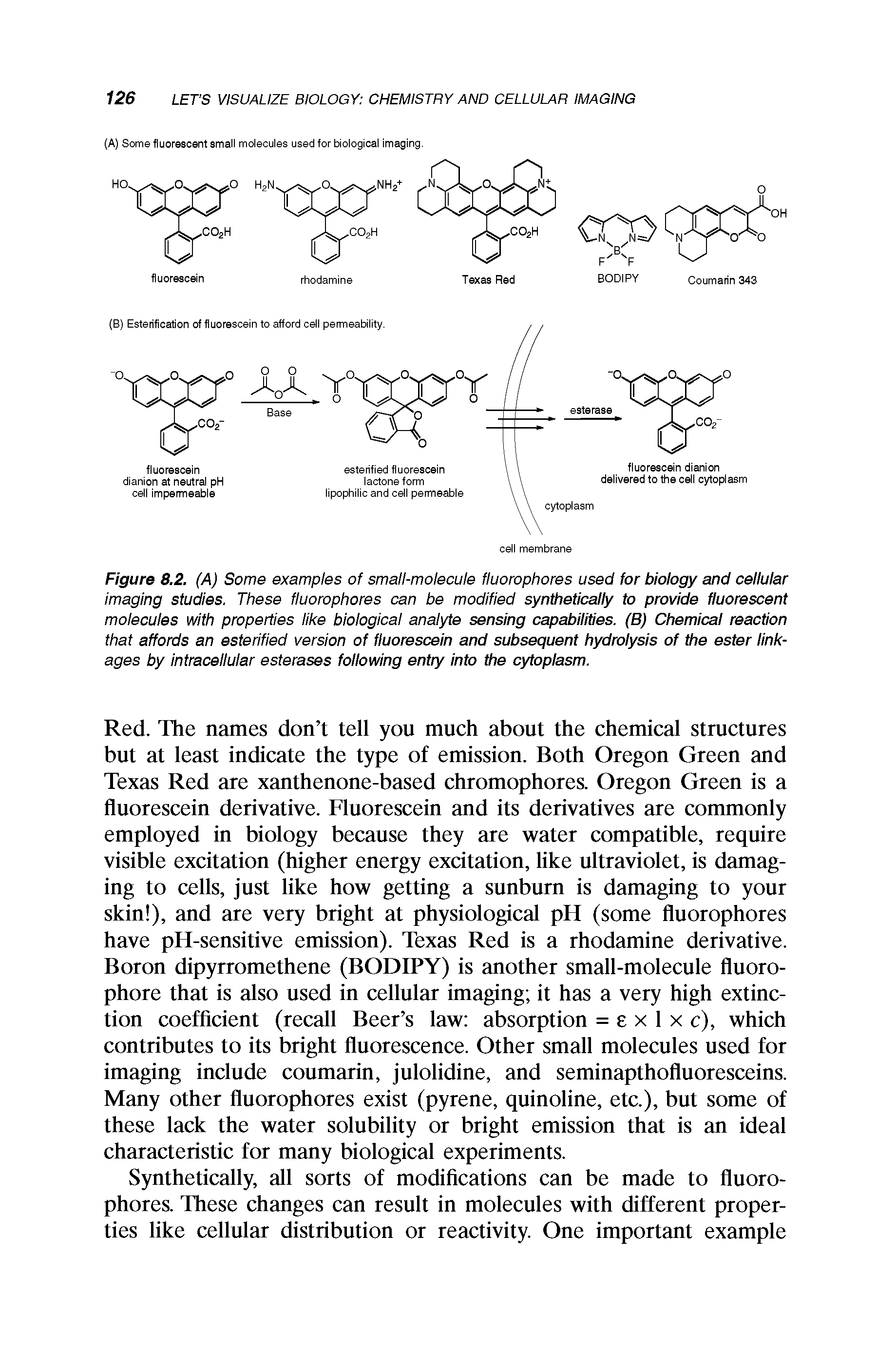 Figure 8.2. (A) Some examples of small-molecule fluorophores used for biology and cellular imaging studies. These fluorophores can be modified synthetically to provide fluorescent molecules with properties like biological analyte sensing capabilities. (B) Chemical reaction that affords an esterified version of fluorescein and subsequent hydrolysis of the ester linkages by intracellular esterases following entry into the cytoplasm.