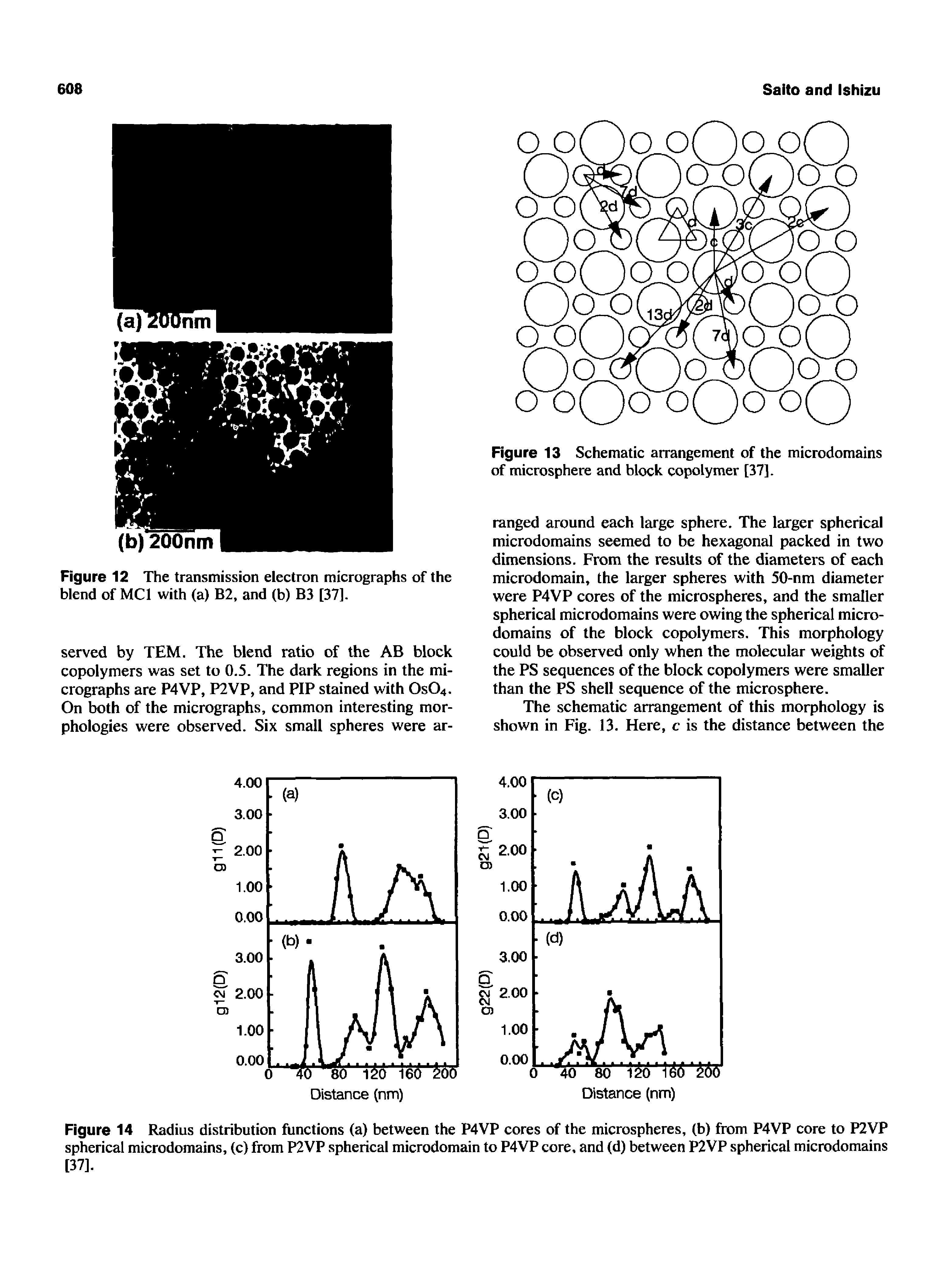 Figure 12 The transmission electron micrographs of the blend of MCI with (a) B2, and (b) B3 [37].