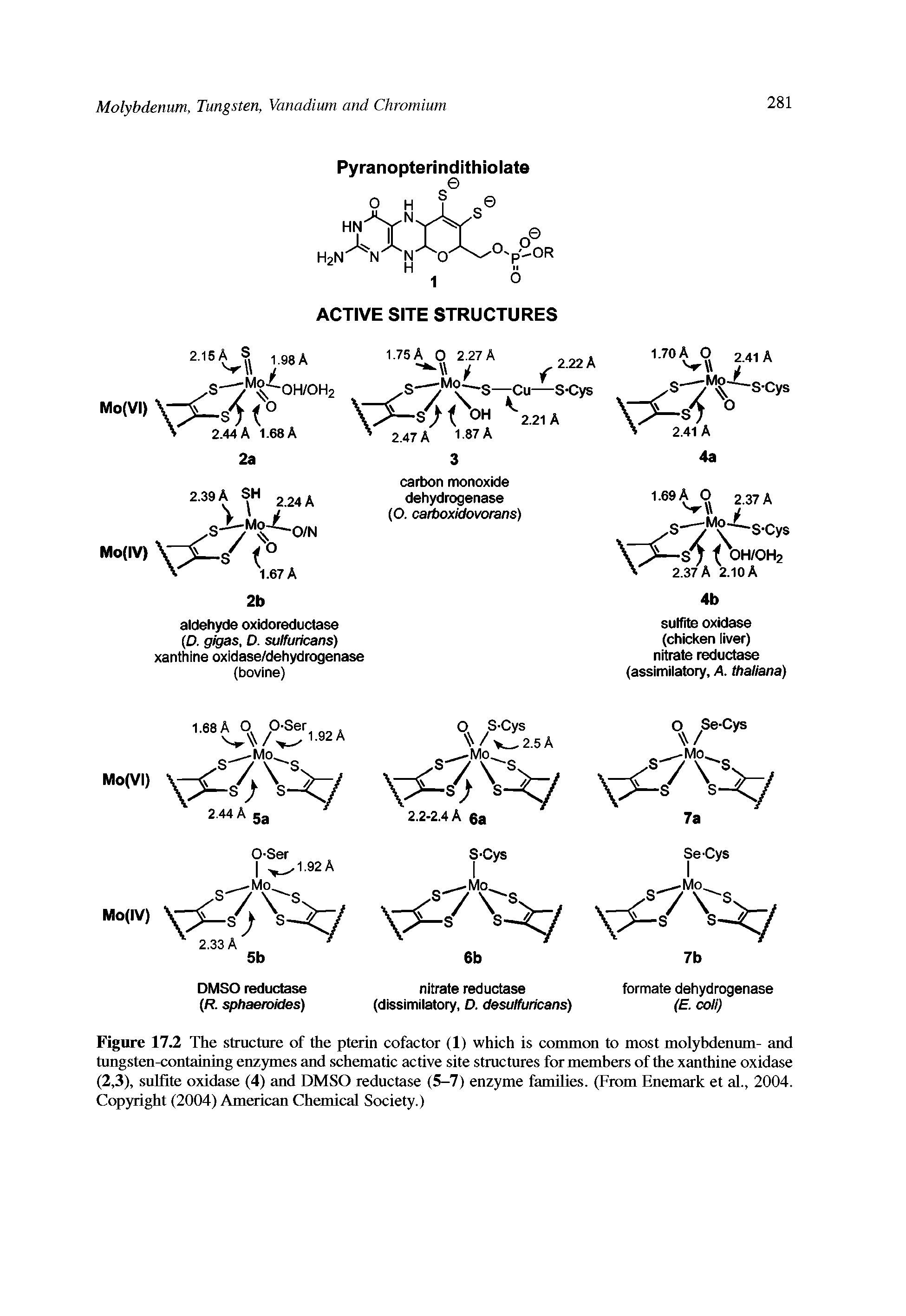 Figure 17.2 The structure of the pterin cofactor (1) which is common to most molybdenum- and tungsten-containing enzymes and schematic active site structures for members of the xanthine oxidase (2,3), sulfite oxidase (4) and DMSO reductase (5-7) enzyme families. (From Enemark et al., 2004. Copyright (2004) American Chemical Society.)...