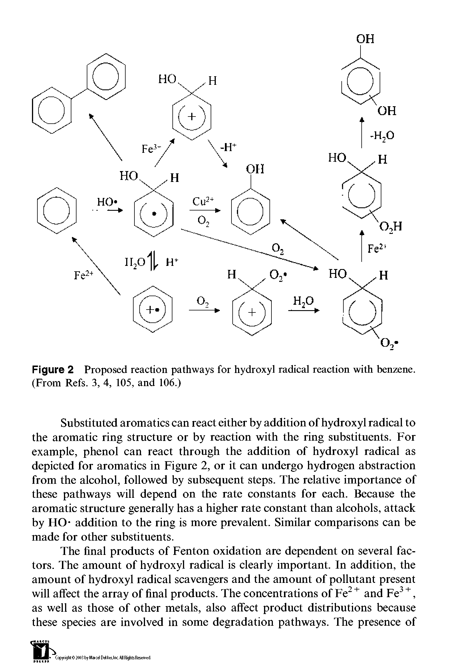 Figure 2 Proposed reaction pathways for hydroxyl radical reaction with benzene. (From Refs. 3, 4, 105, and 106.)...