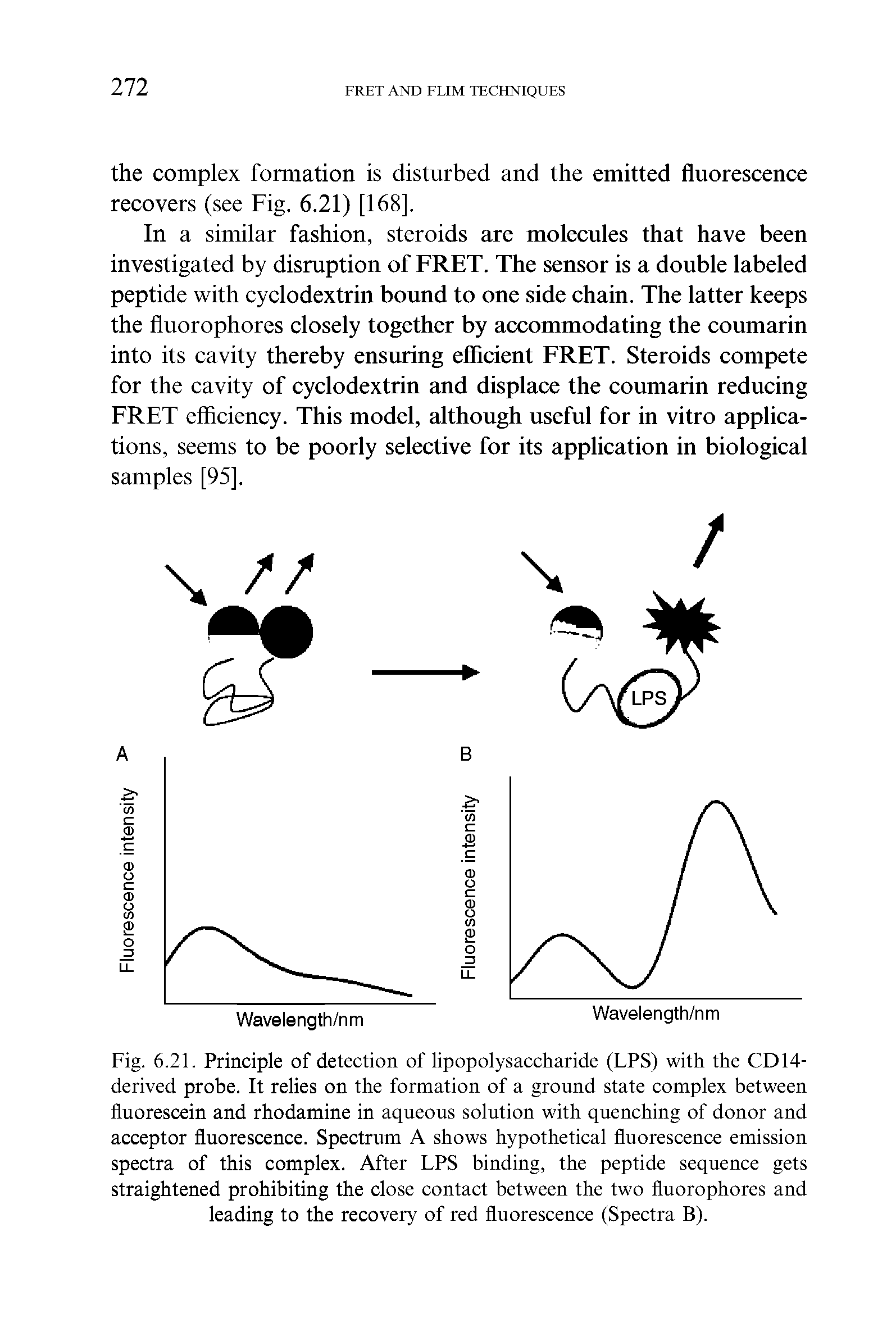 Fig. 6.21. Principle of detection of lipopolysaccharide (LPS) with the CD14-derived probe. It relies on the formation of a ground state complex between fluorescein and rhodamine in aqueous solution with quenching of donor and acceptor fluorescence. Spectrum A shows hypothetical fluorescence emission spectra of this complex. After LPS binding, the peptide sequence gets straightened prohibiting the close contact between the two fluorophores and leading to the recovery of red fluorescence (Spectra B).