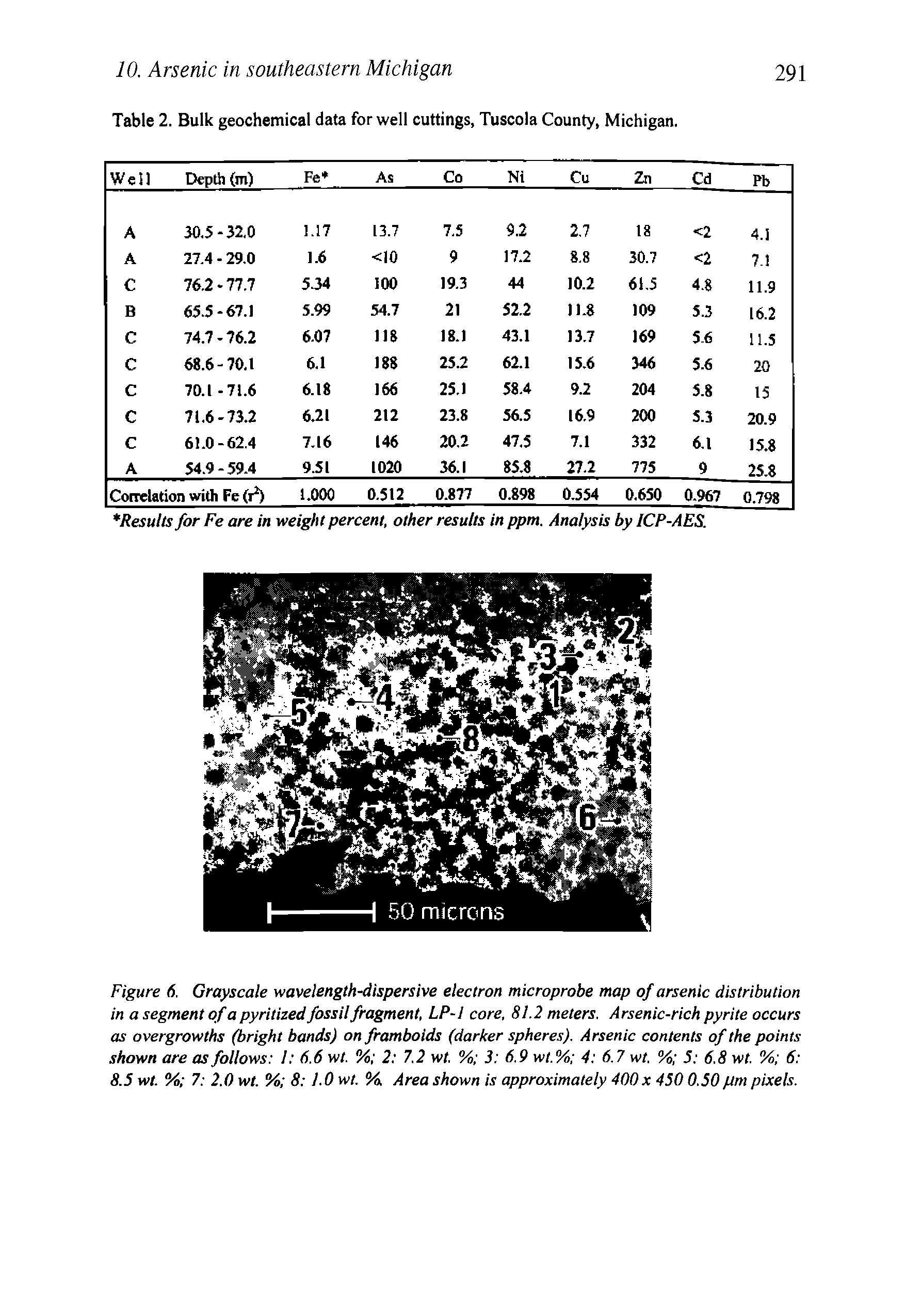 Figure 6. Grayscale wavelength-dispersive electron microprobe map of arsenic distribution in a segment of a pyritized fossil fragment, LP-l core, 81.2 meters. Arsenic-rich pyrite occurs as overgrowths (bright bands) onframboids (darker spheres). Arsenic contents of the points shown are as follows I 6.6 wt. % 2 7.2 wt. % 3 6.9 wt.% 4 6.7 wt. % 5 6.8 wt. % 6 8.5 wt. % 7 2.0 wt. % 8 1.0 wt. %. Area shown is approximately 400 x 450 0.50 pm pixels.
