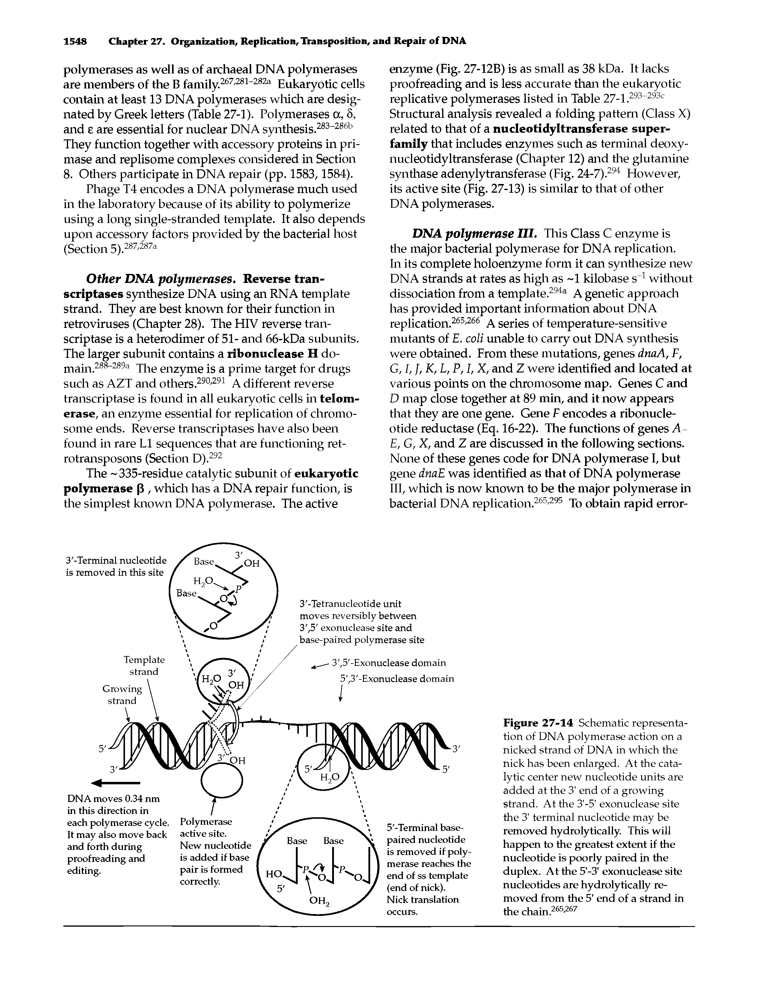 Figure 27-14 Schematic representation of DNA polymerase action on a nicked strand of DNA in which the nick has been enlarged. At the catalytic center new nucleotide units are added at the 3 end of a growing strand. At the 3 -5 exonuclease site the 3 terminal nucleotide may be removed hydrolytically. This will happen to the greatest extent if the nucleotide is poorly paired in the duplex. At the 5 -3 exonuclease site nucleotides are hydrolytically removed from the 5 end of a strand in the chain.265,267...