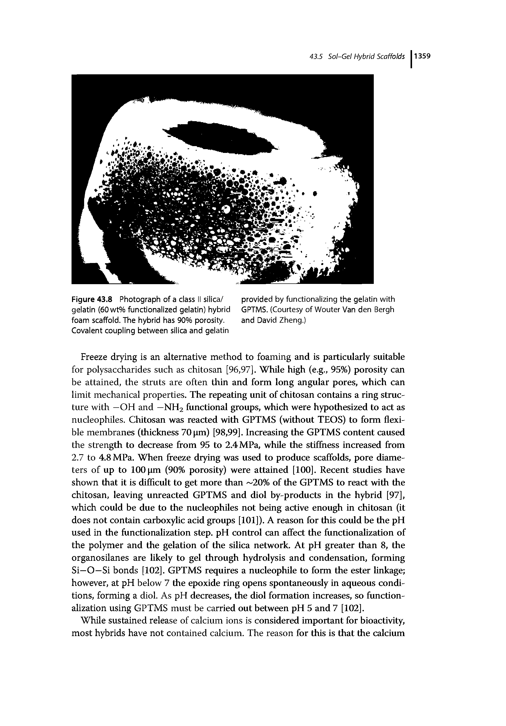 Figure 43.8 Photograph of a class II silica/ gelatin (60wt% functionalized gelatin) hybrid foam scaffold. The hybrid has 90% porosity. Covalent coupling between silica and gelatin...