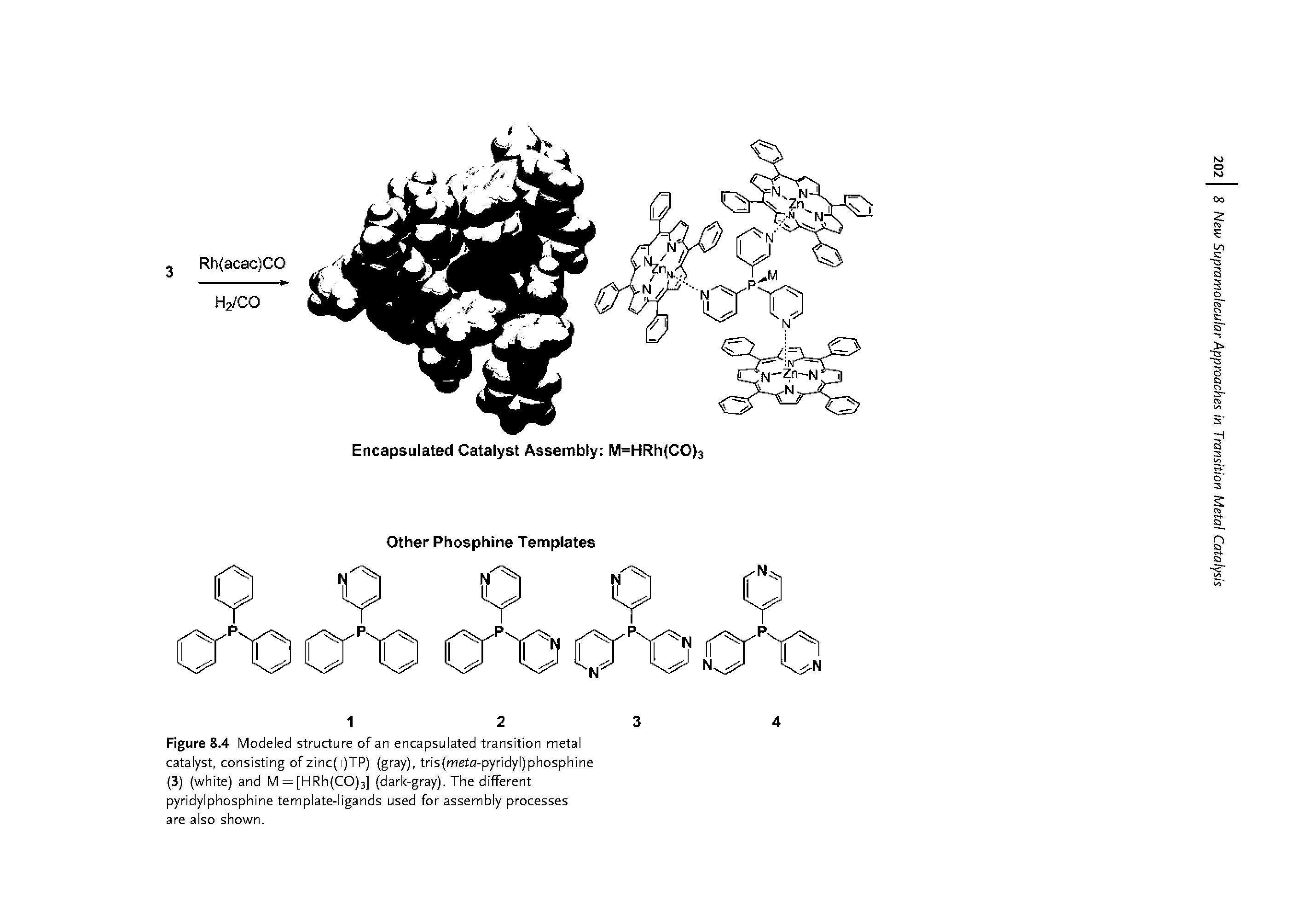 Figure 8.4 Modeled structure of an encapsulated transition metal catalyst, consisting of zinc(ii)TP) (gray), tris(meta-pyridyl)phosphine (3) (white) and M = [HRh(CO)3] (dark-gray). The different pyridylphosphine template-ligands used for assembly processes are also shown.
