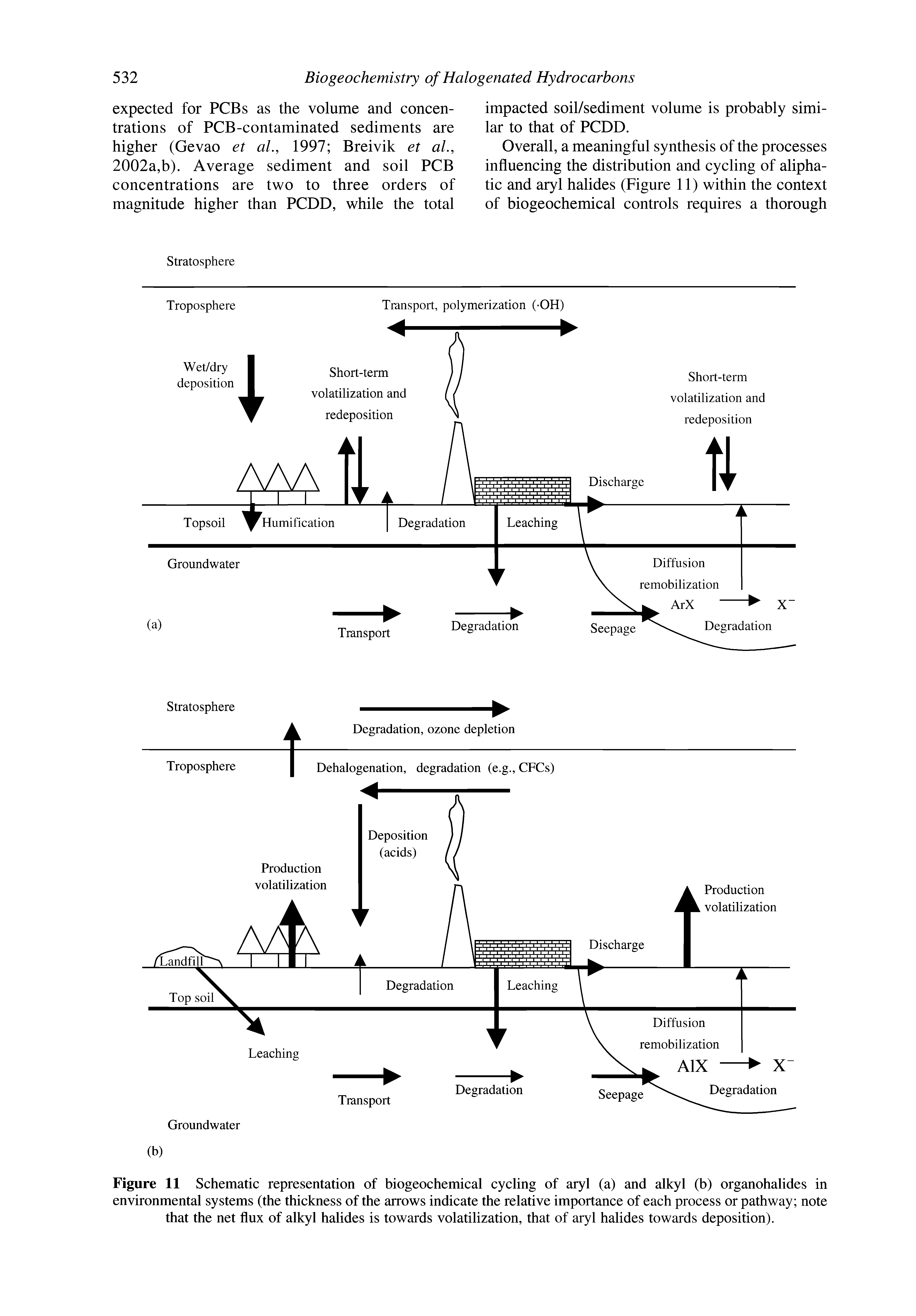 Figure 11 Schematic representation of biogeochemical cycling of aryl (a) and alkyl (b) organohalides in environmental systems (the thickness of the arrows indicate the relative importance of each process or pathway note that the net flux of alkyl halides is towards volatilization, that of aryl halides towards deposition).