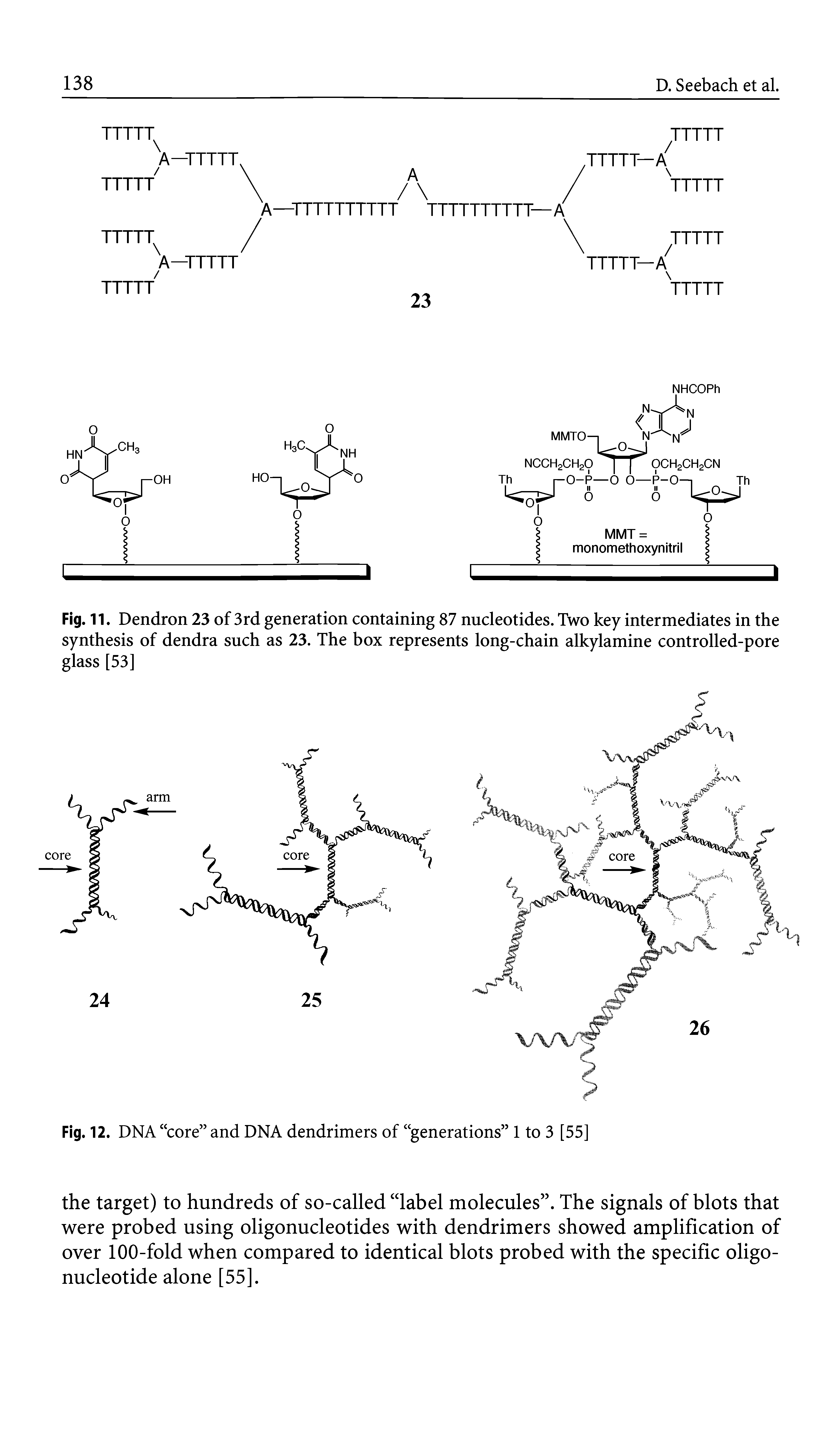 Fig. 11. Dendron 23 of 3rd generation containing 87 nucleotides. Two key intermediates in the synthesis of dendra such as 23. The box represents long-chain alkylamine controlled-pore glass [53]...