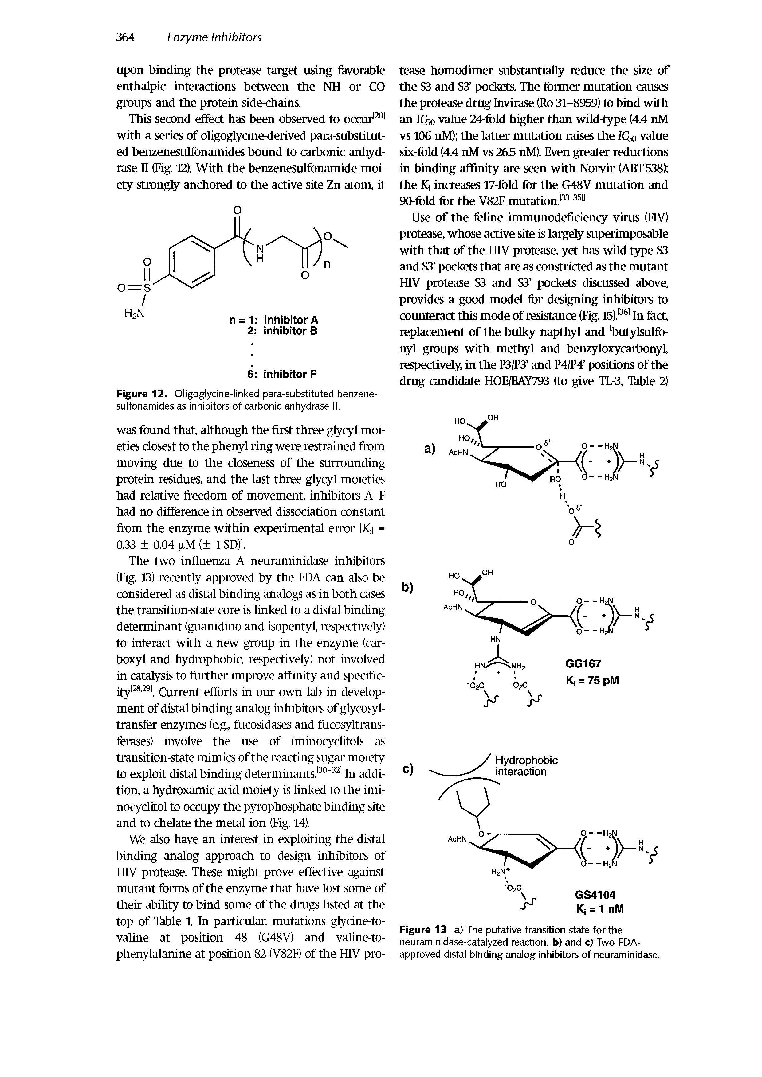 Figure 12. Oligoglycine-linked para-substituted benzenesulfonamides as inhibitors of carbonic anhydrase II.