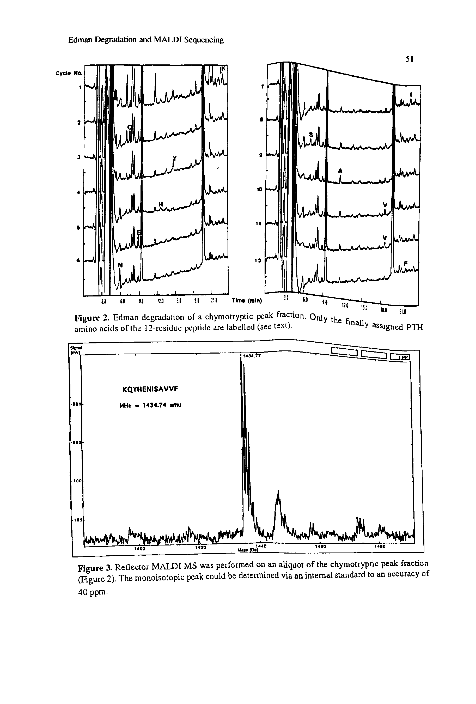 Figure 3. Reflector MALX)I MS was performed on an aliquot of the chymotryptic peak fraction (Figure 2). The monoisotopic peak could be determined via an internal standard to an accuracy of 40 ppm.