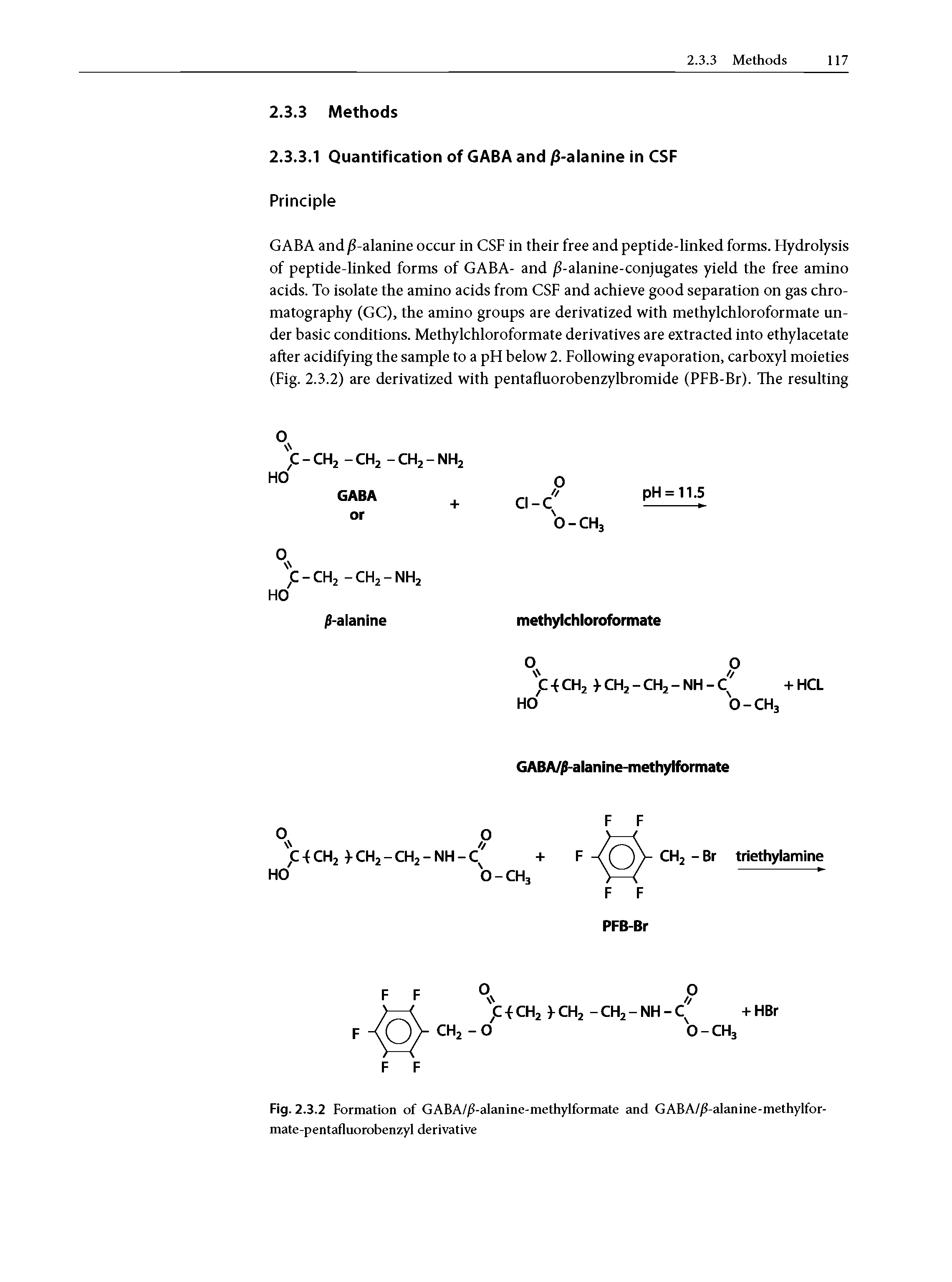 Fig. 2.3.2 Formation of G A A//> - a I an i n e - m ethyl r m ate and GABA// -alanine-methylfor-mate-pentafluorobenzyl derivative...