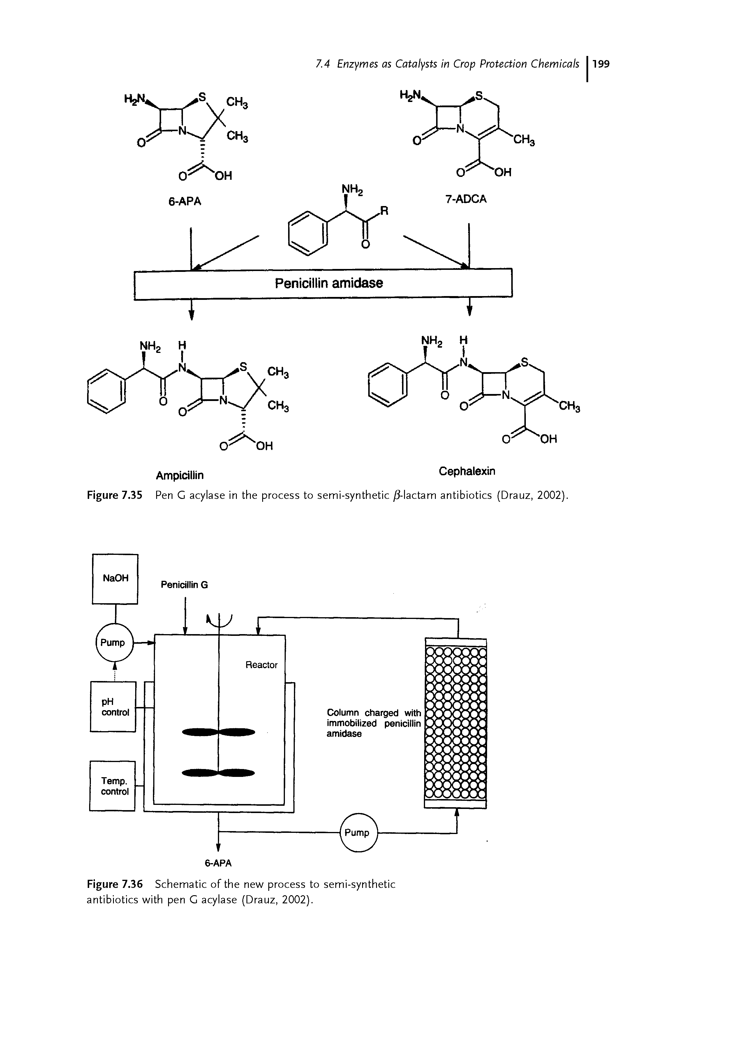 Figure 7.36 Schematic of the new process to semi-synthetic antibiotics with pen G acylase (Drauz, 2002).