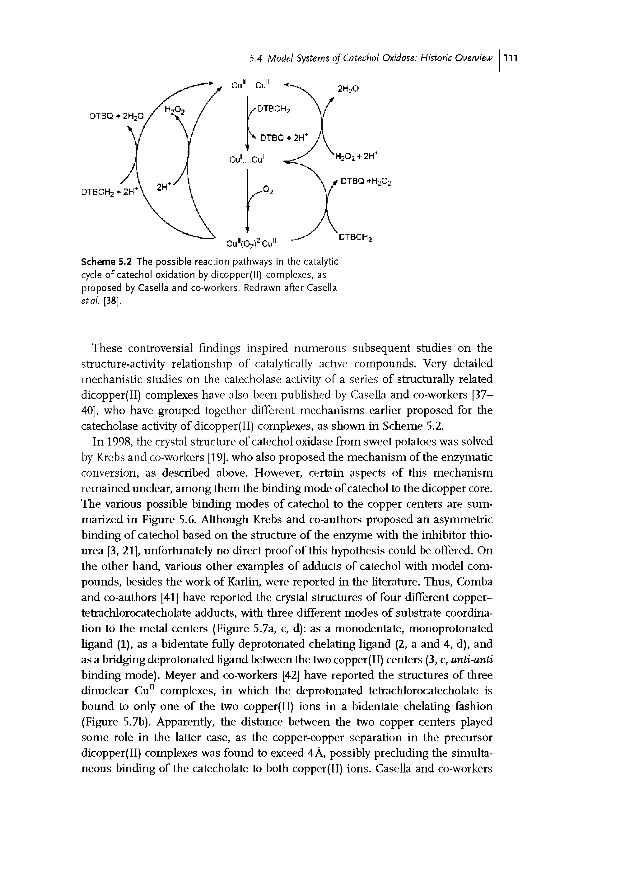 Scheme 5.2 The possible reaction pathways in the catalytic cycle of catechol oxidation by dicopper(ll) complexes, as proposed by Casella and co-workers. Redrawn after Casella etal. [38],...