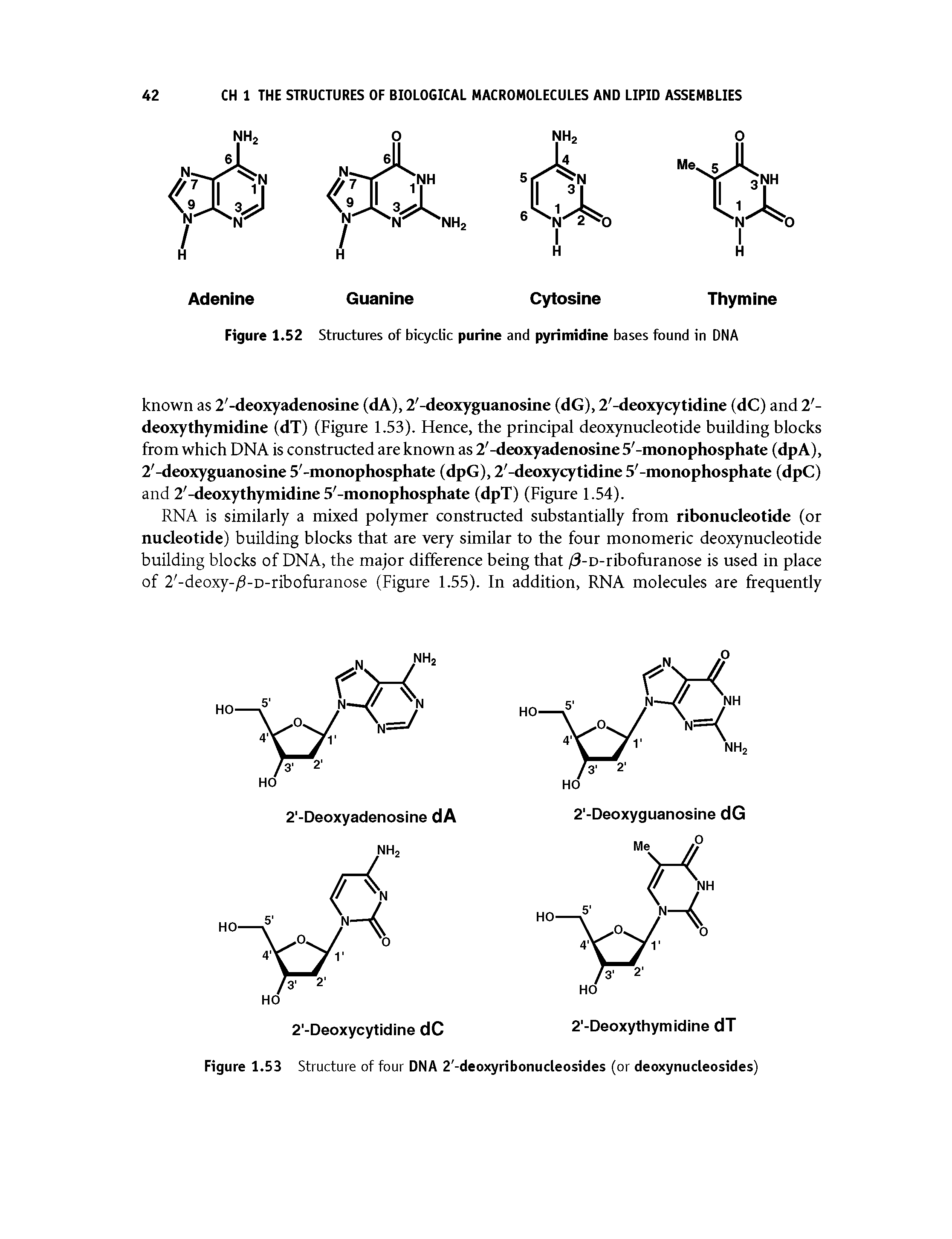 Figure 1.52 Structures of bicyclic purine and pyrimidine bases found in DNA...