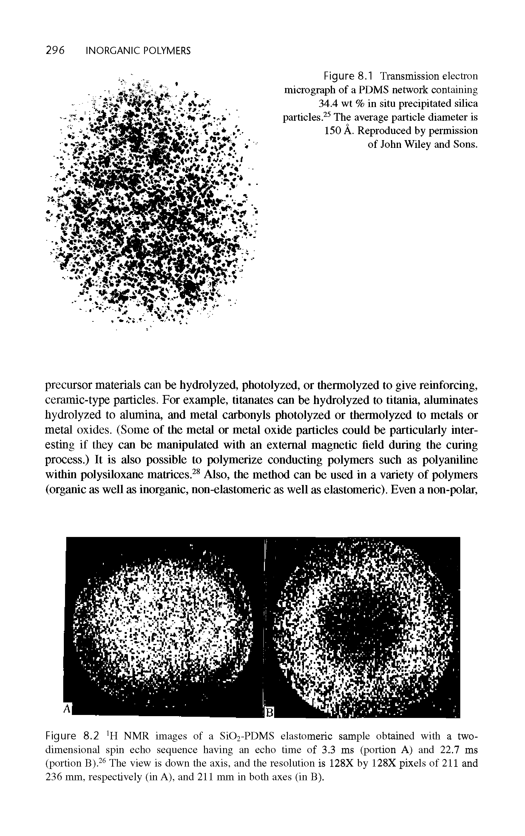 Figure 8.1 Transmission electron micrograph of a PDMS network containing 34.4 wt % in situ precipitated silica particles.25 The average particle diameter is 150 A. Reproduced by permission of John Wiley and Sons.