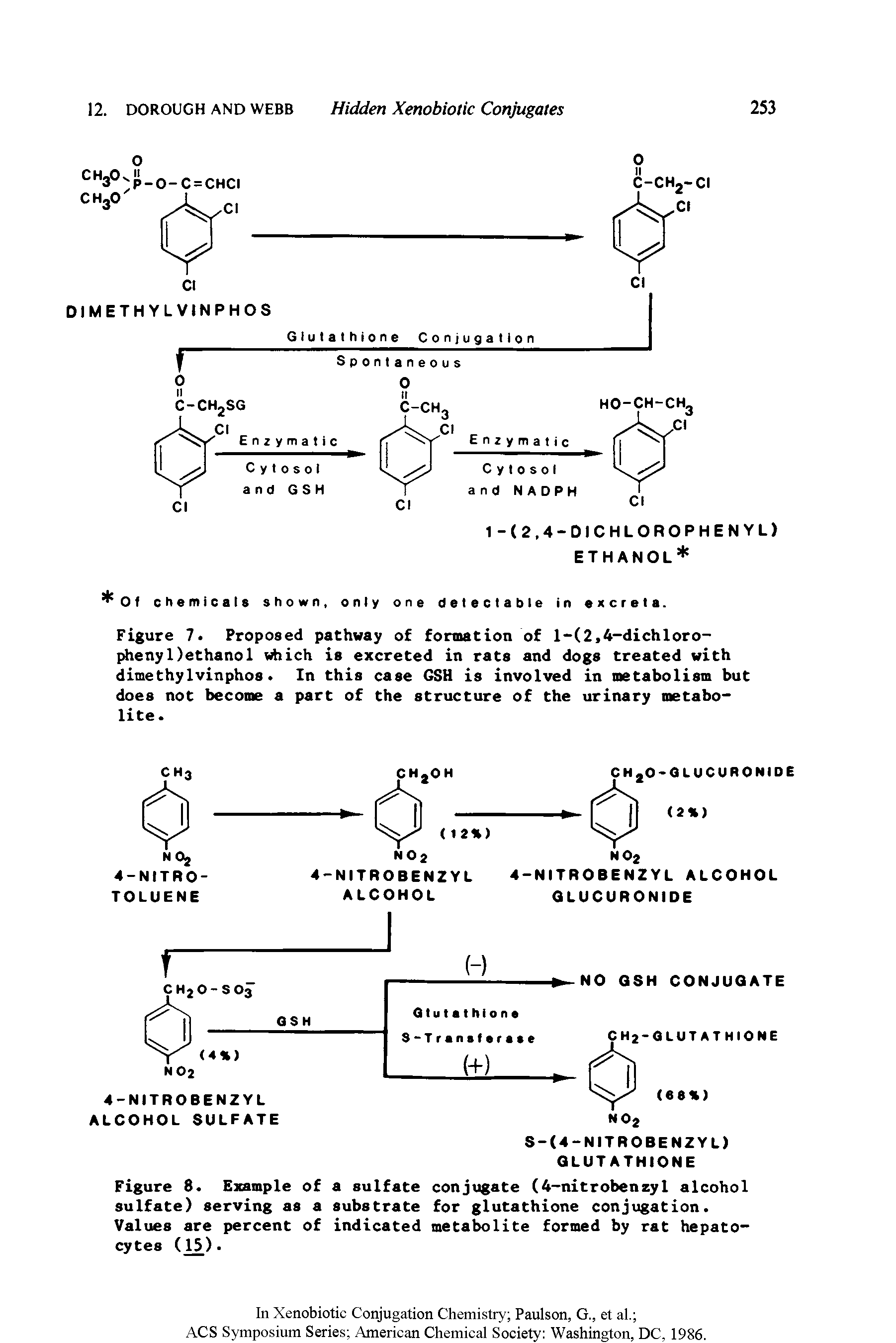 Figure 7. Proposed pathway of formation of l-(2,4-dichloro-phenyDethanol which is excreted in rats and dogs treated with dimethyIvinphos. In this case CSH is involved in metabolism but does not become a part of the structure of the urinary metabolite.