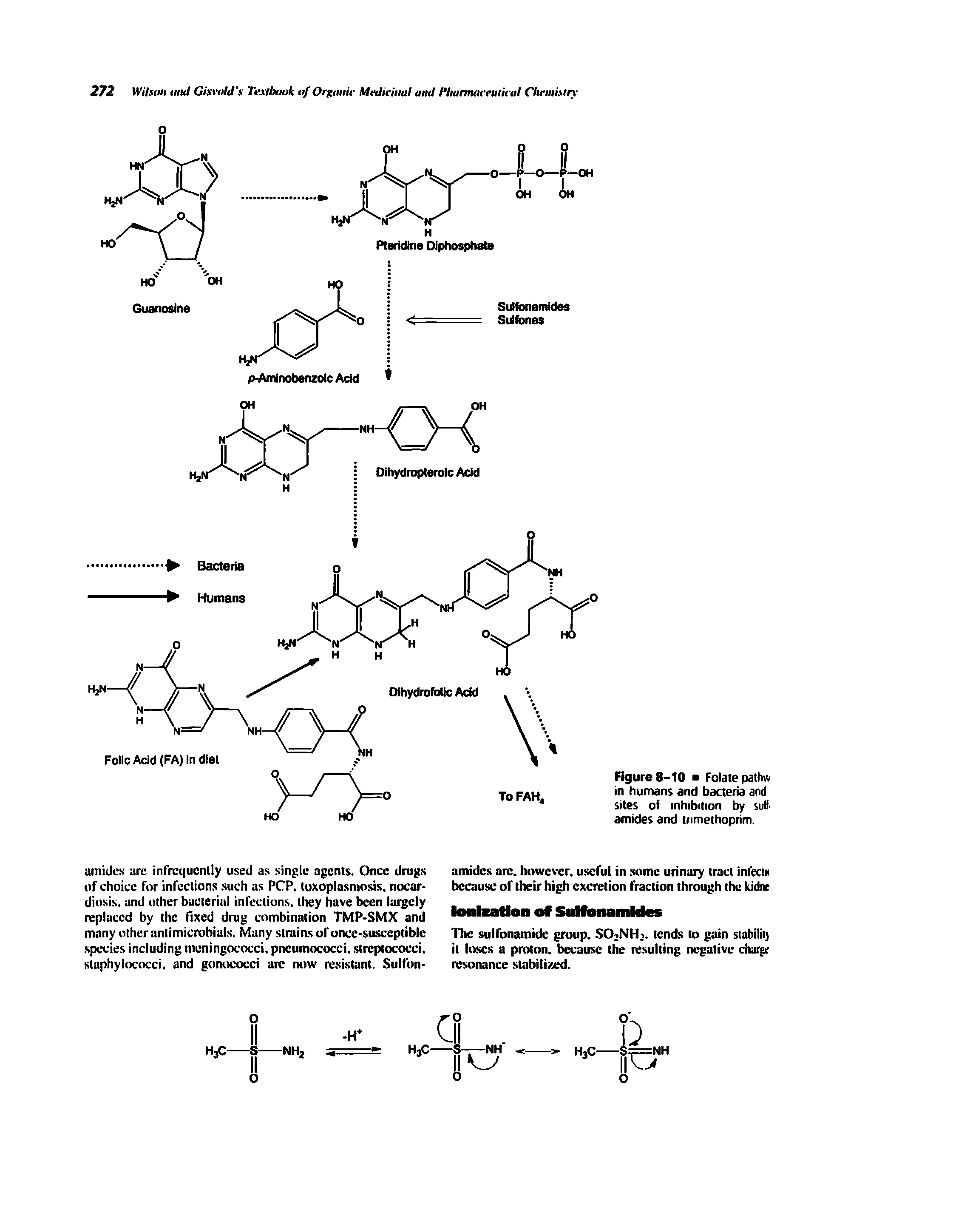 Figure 8-10 Folate pathw in humans and bacteria and sites of inhibition by sulf amides and trimethoprim.