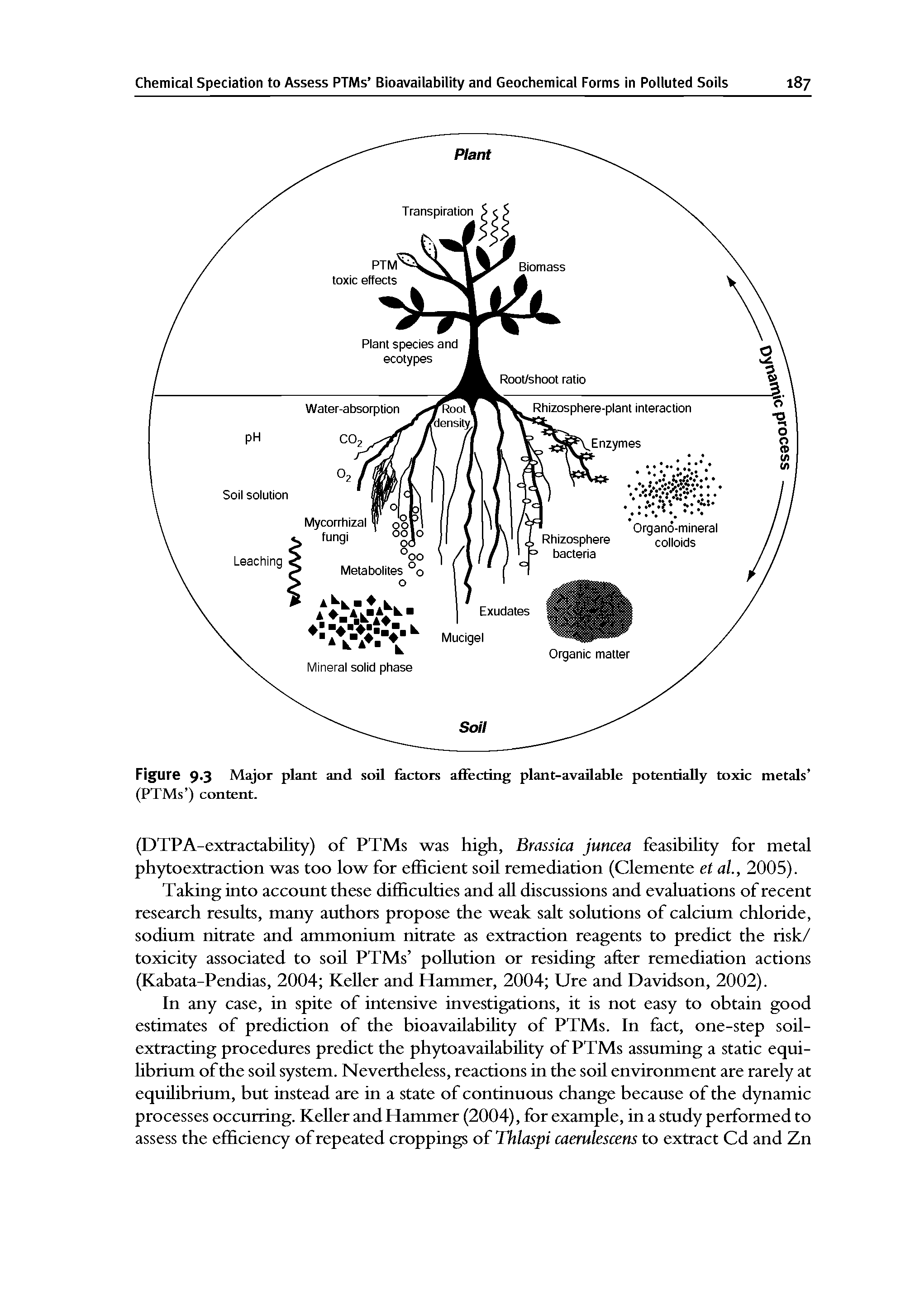 Figure 9 3 Major plant and soil factors affecting plant-available potentially toxic metals ...